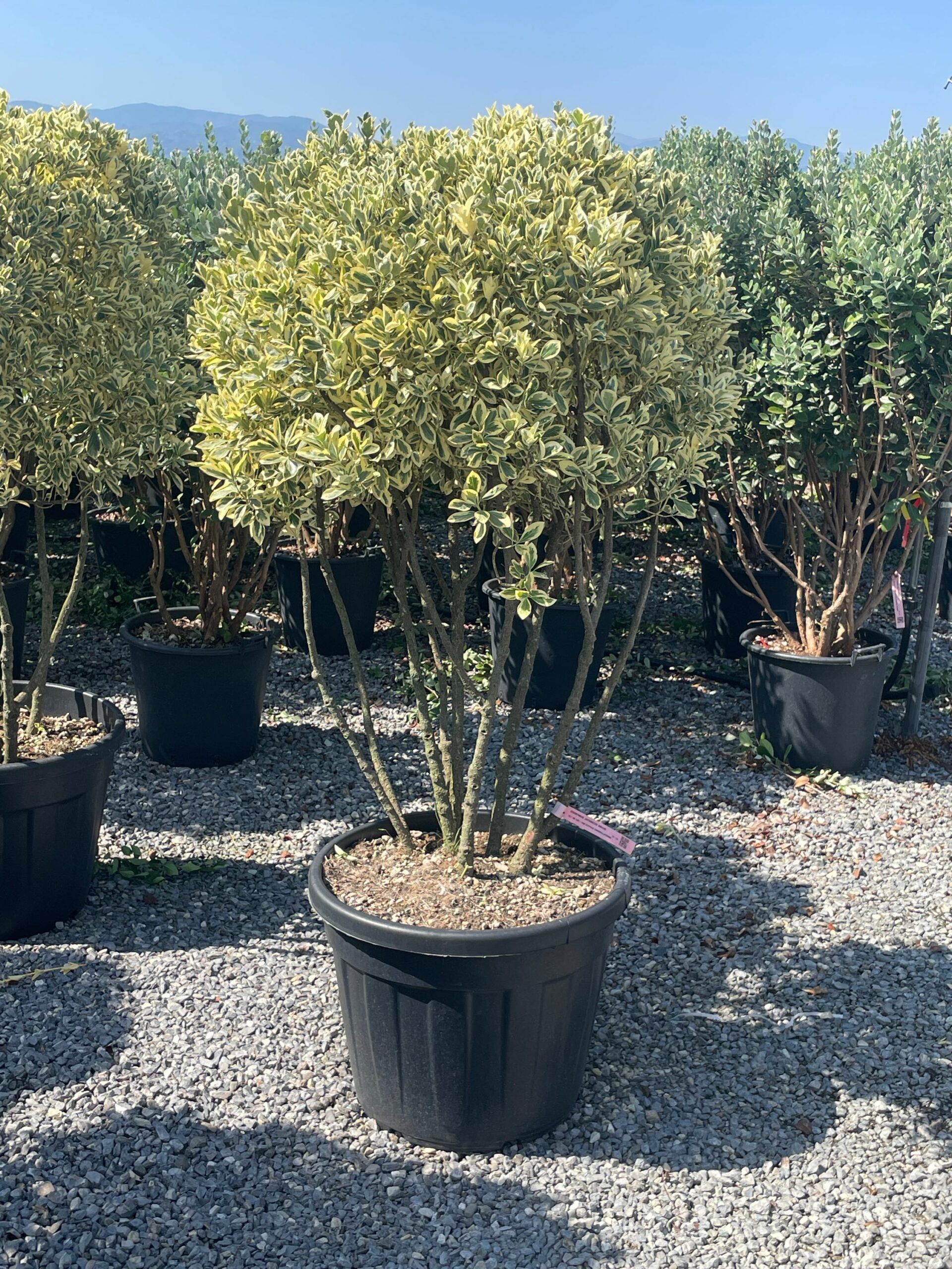 1692970462 scaled a54d0488