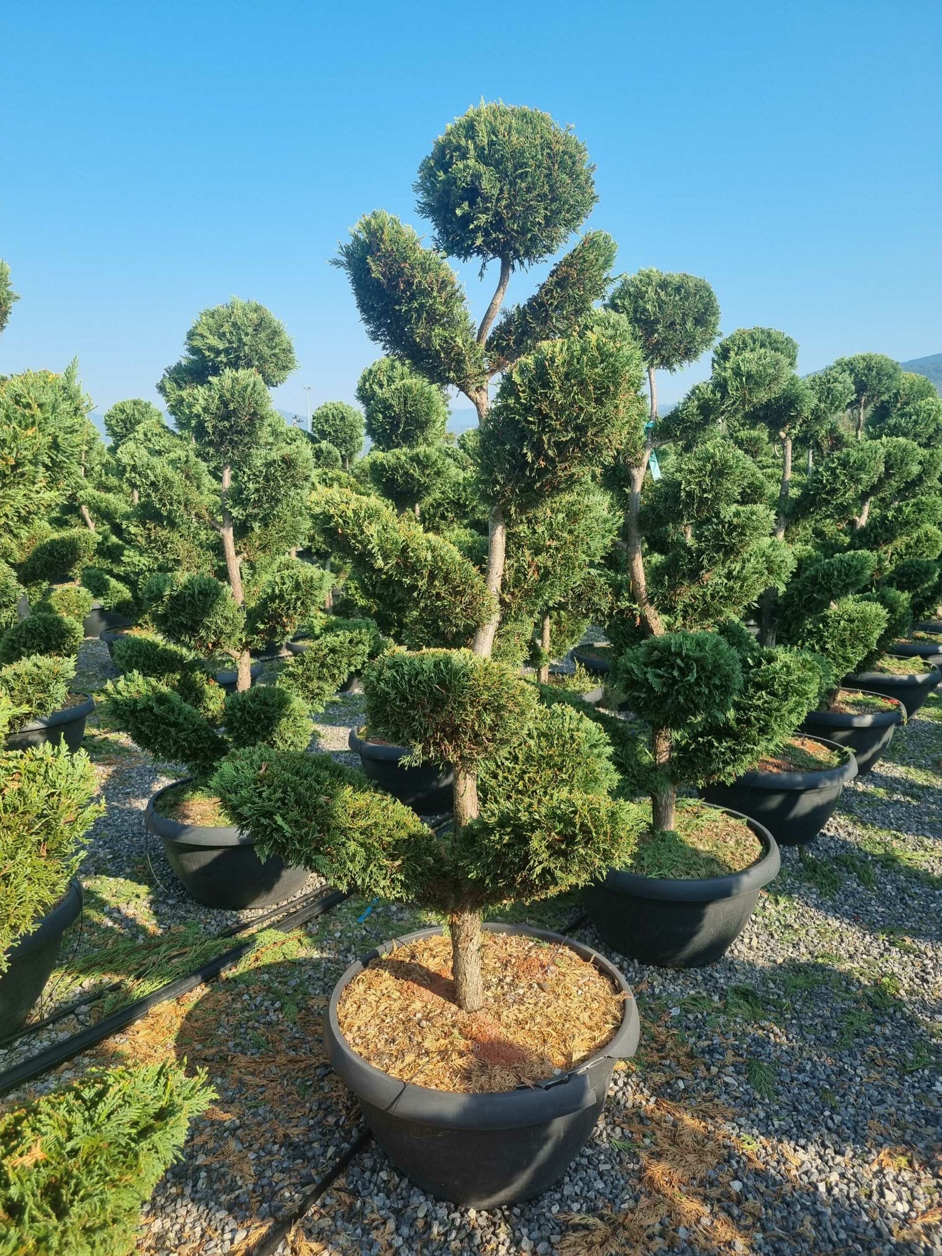 1693033559 scaled a53b5218