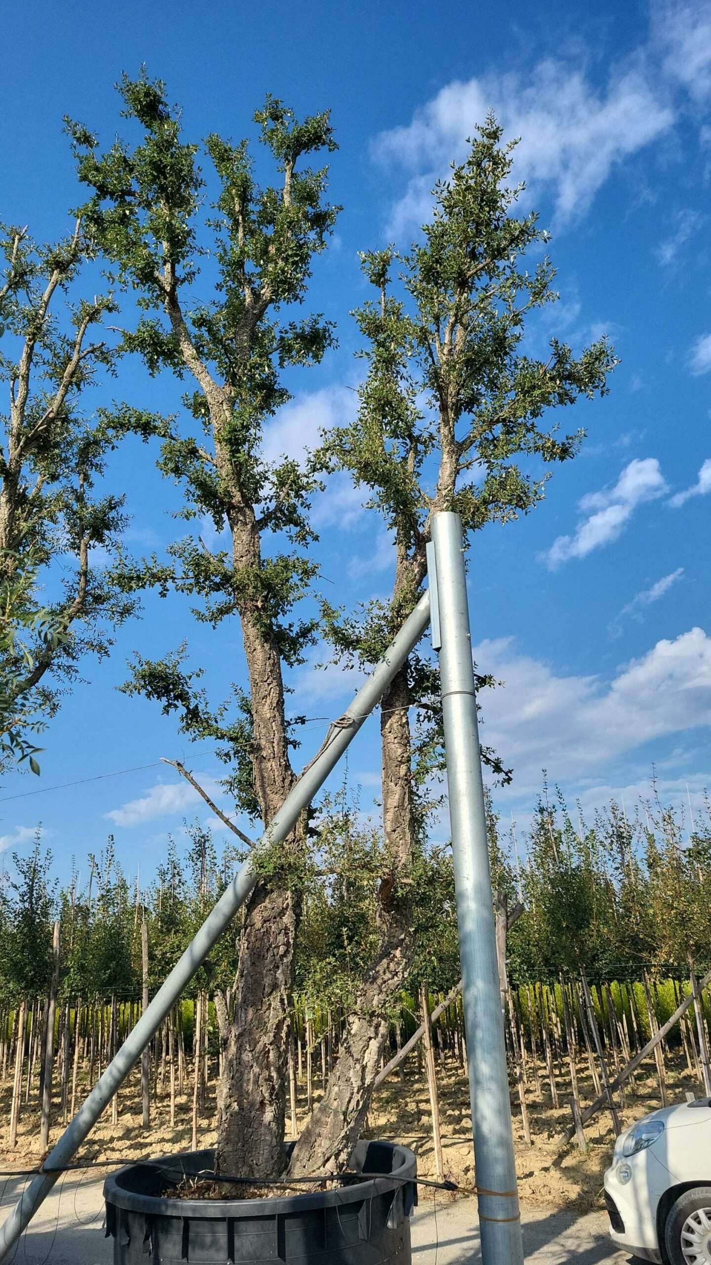 1694679033 scaled a5490179