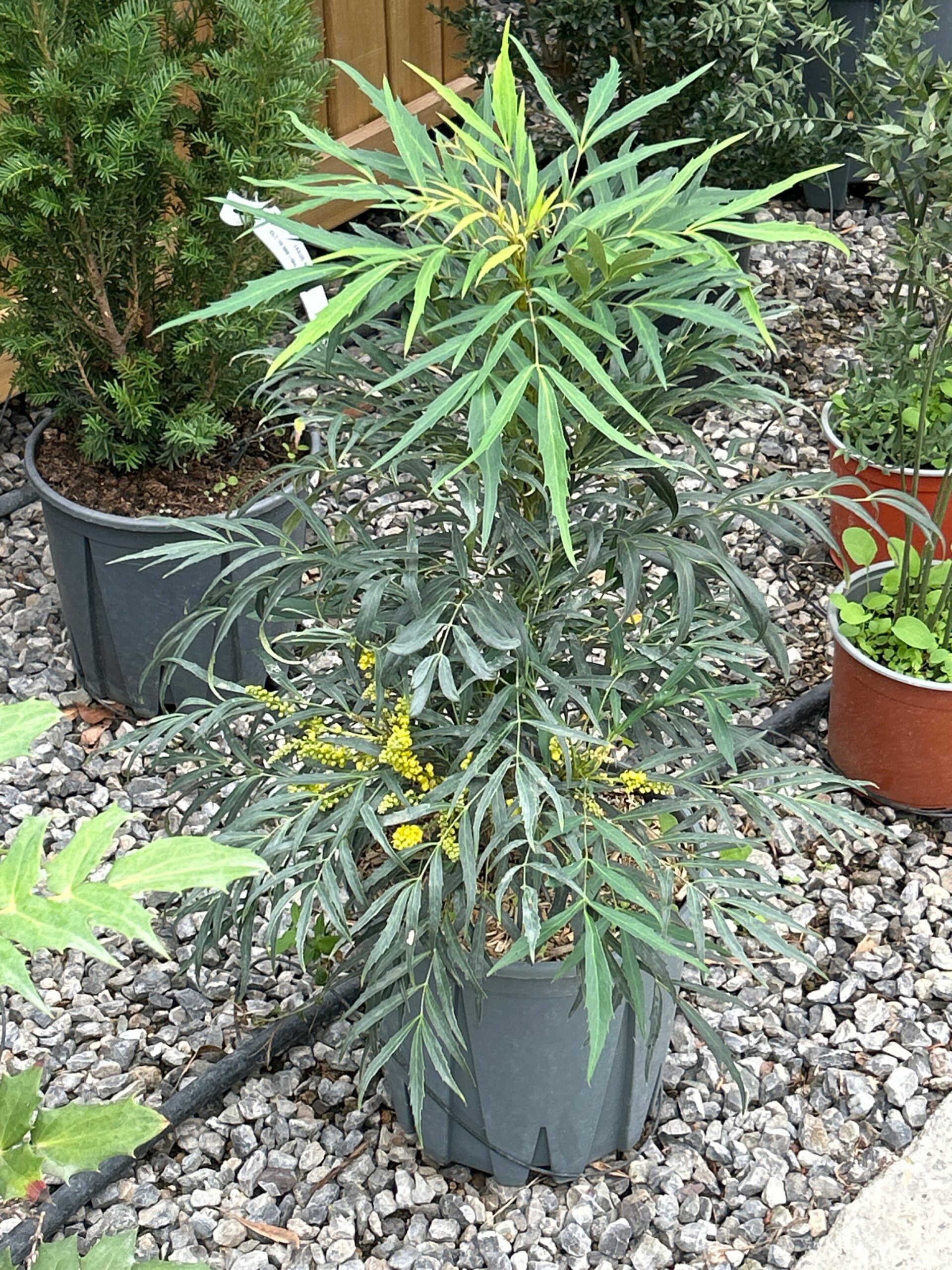 1696839309 scaled a5ea778e