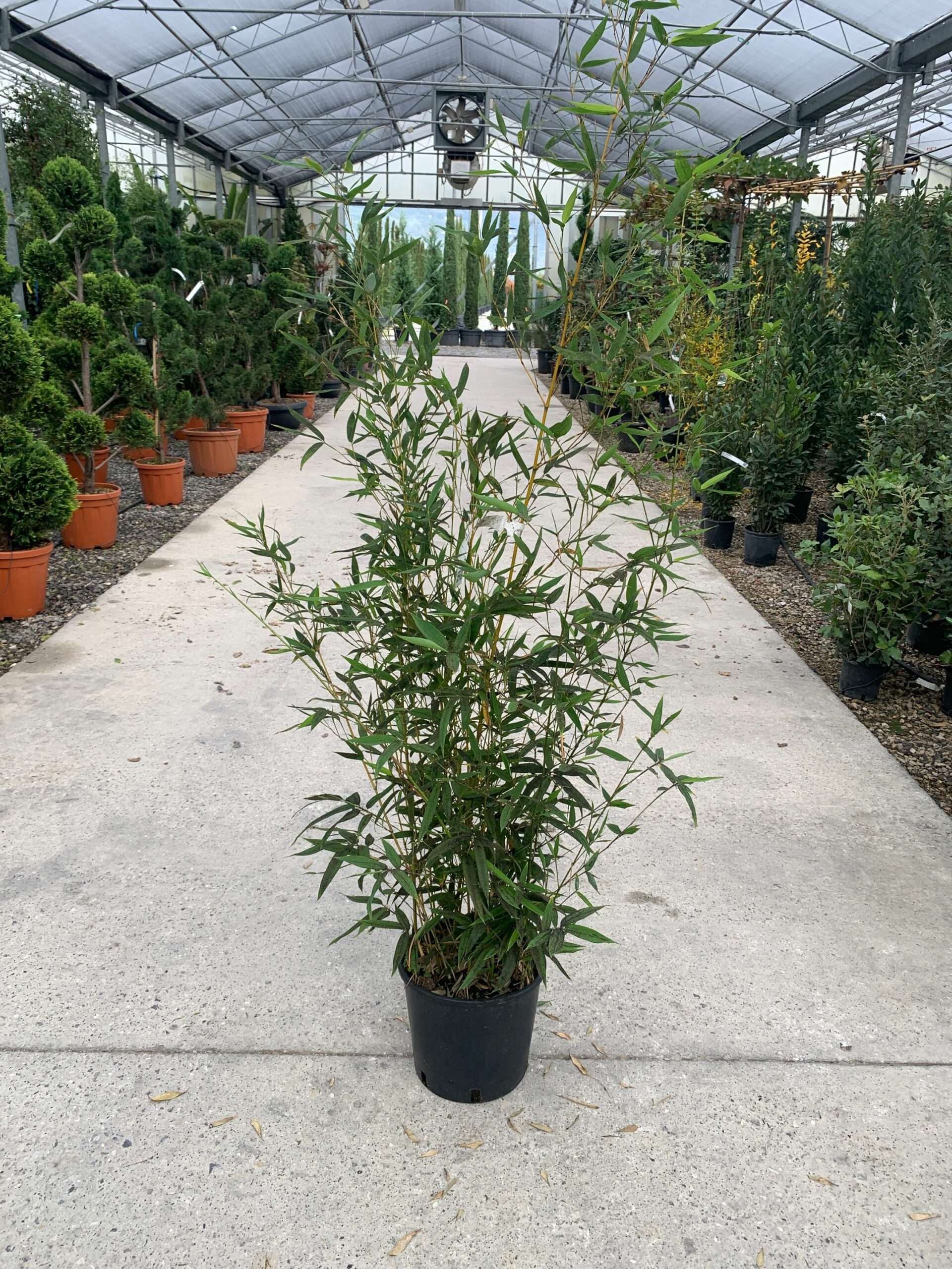 1637576100 scaled a6ef6d84