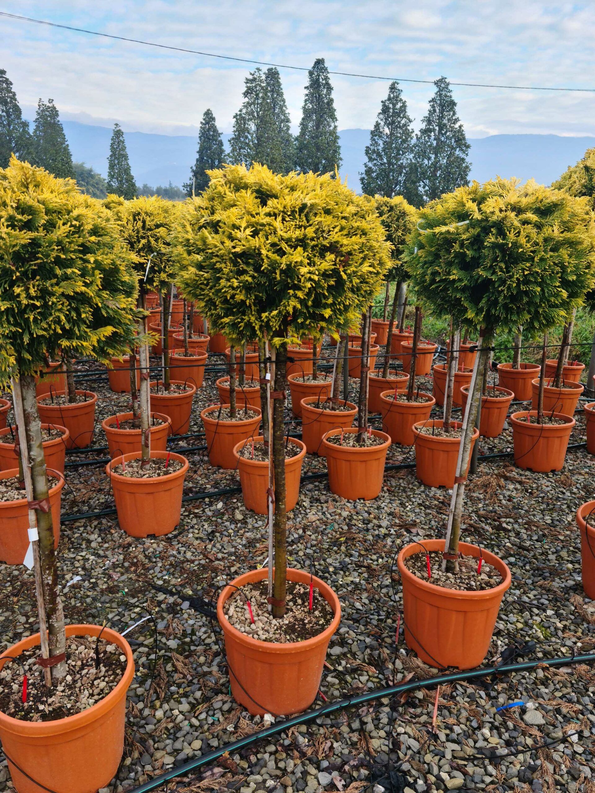 1640162391 scaled a605a84b