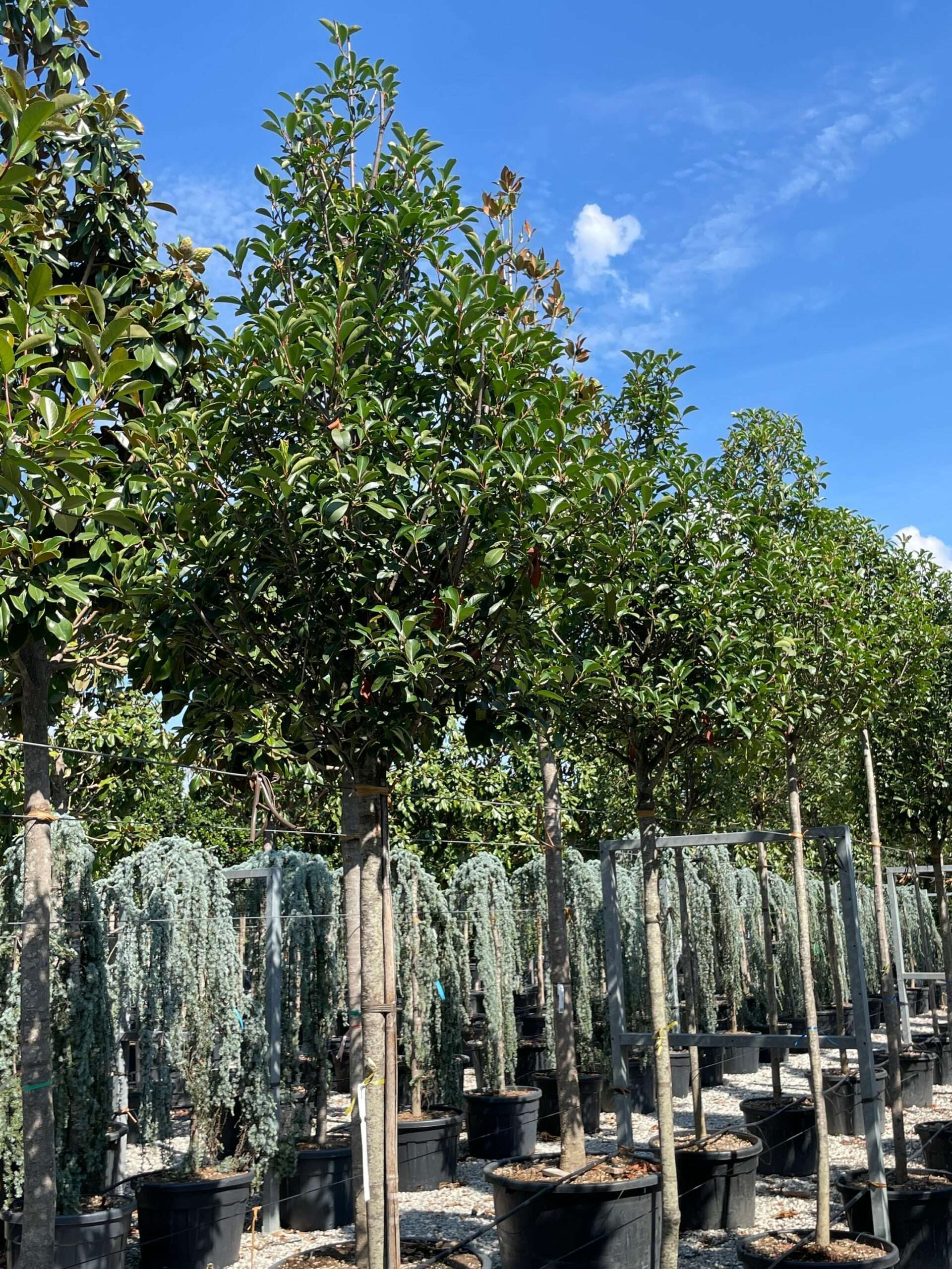 1661505010 scaled a686f8c9