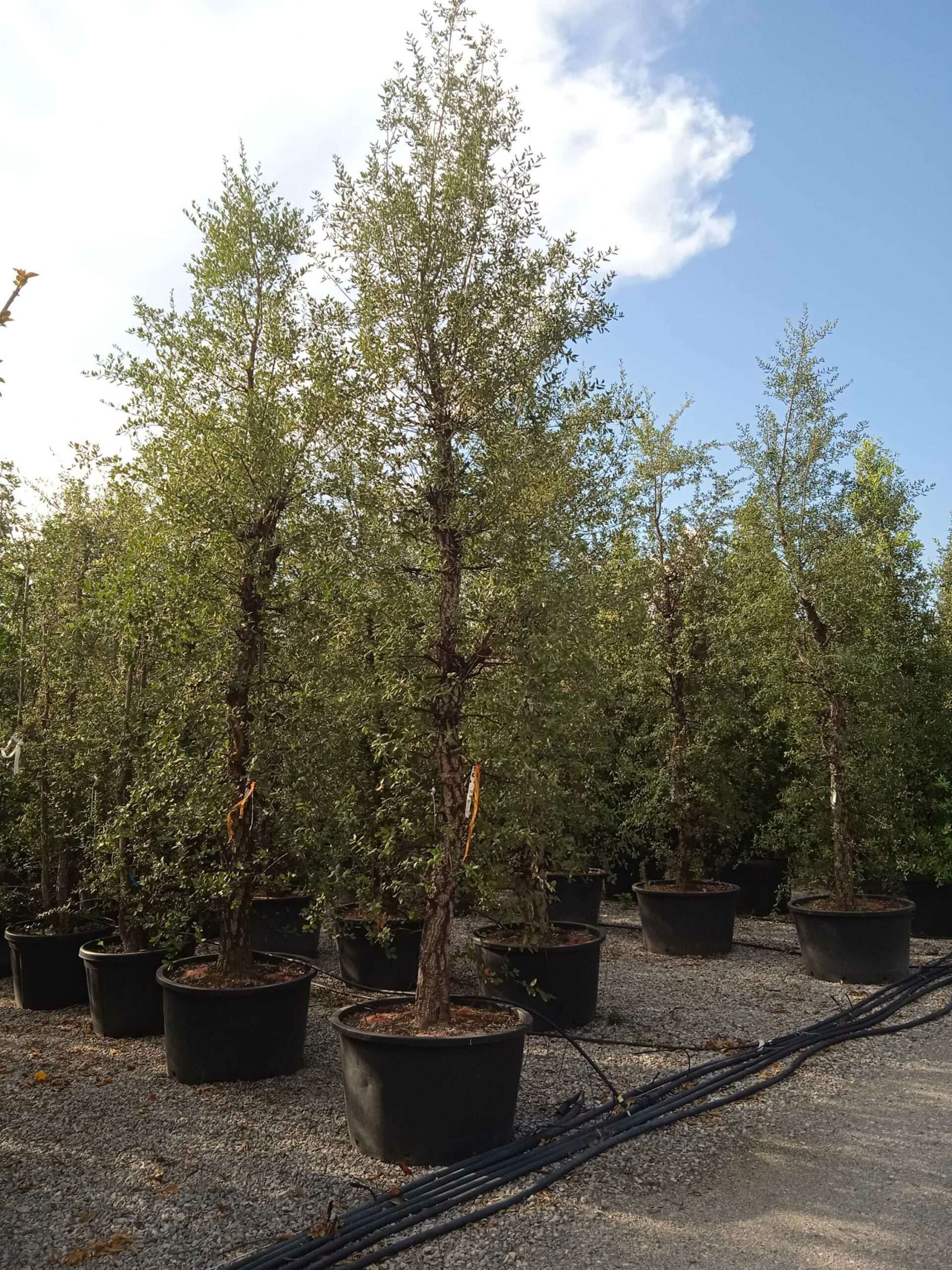 1661787285 scaled a6c4fec7