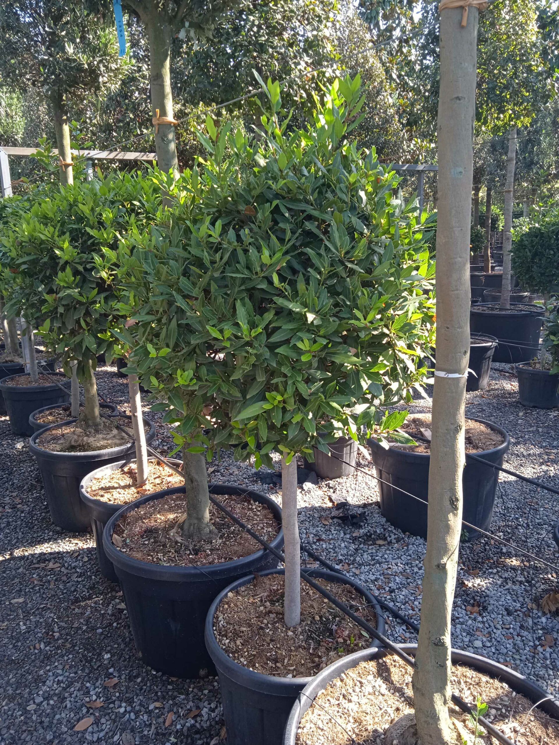 1662538553 scaled a6a4c02c