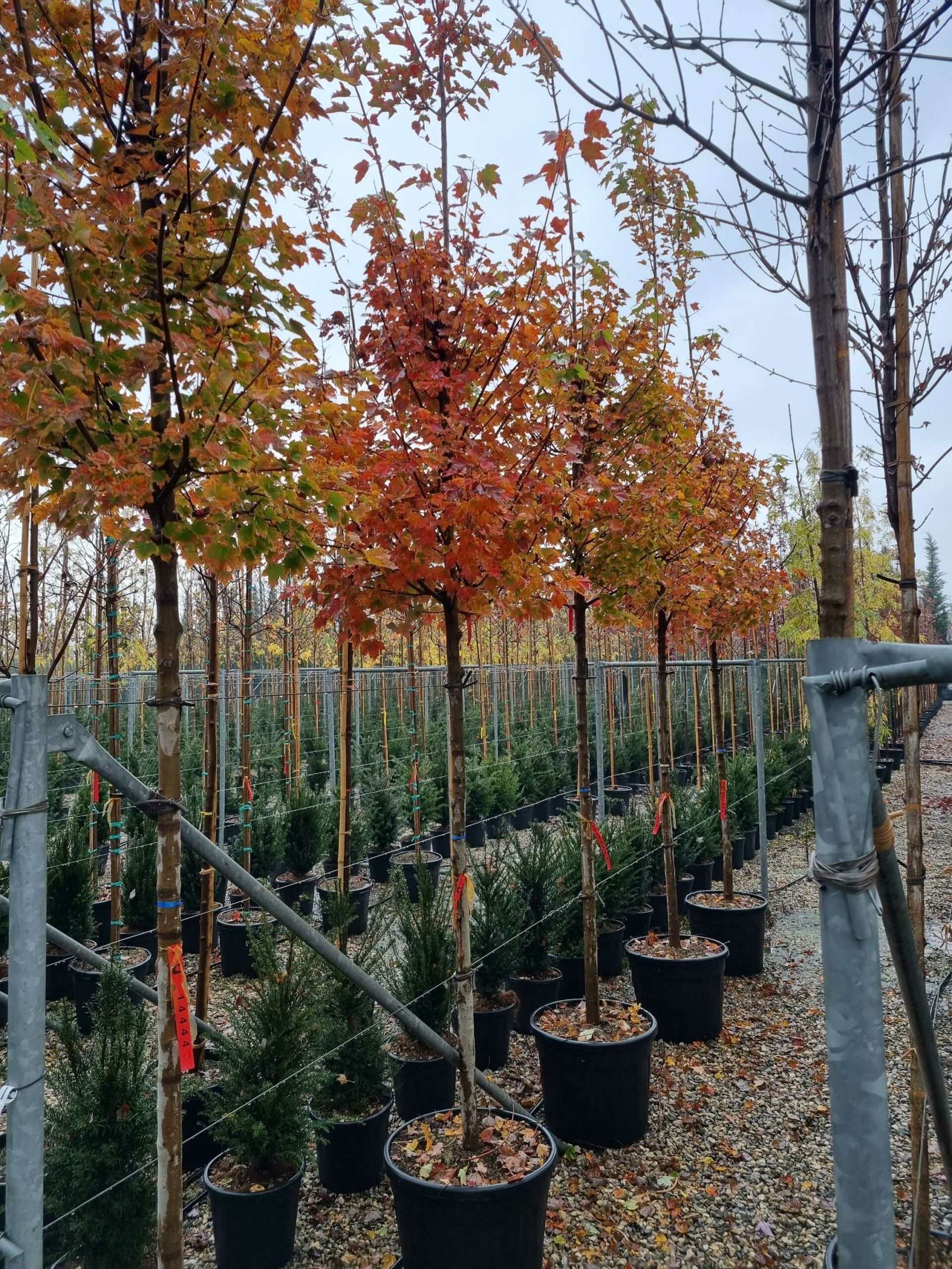 1668689261 scaled a6b80be4