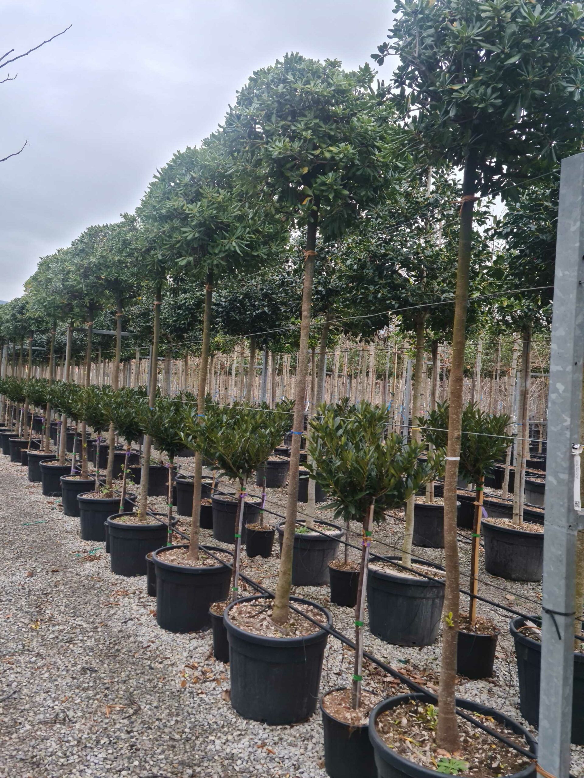 1676994654 scaled a6663027