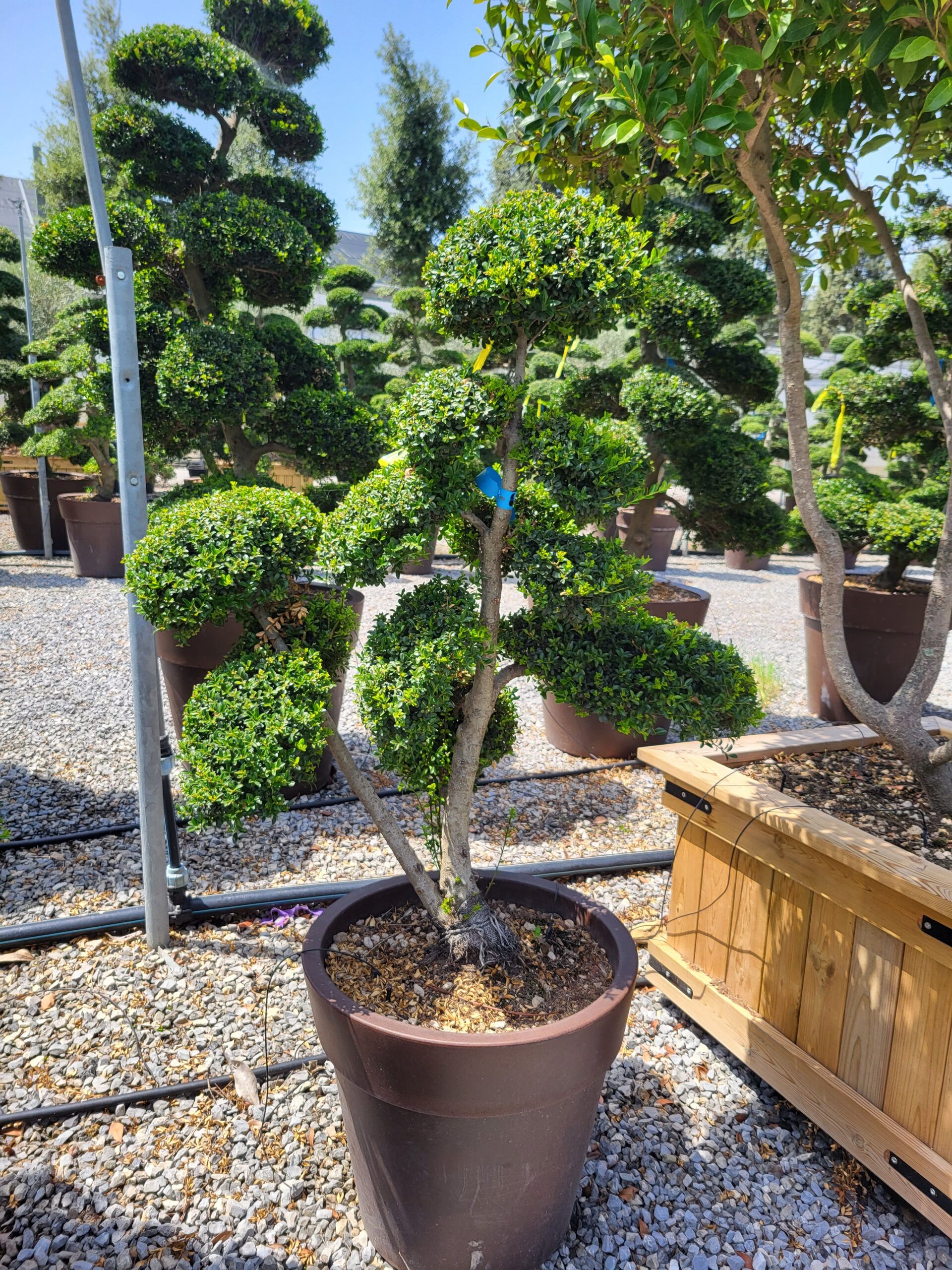 1689165986 scaled a61eb6a7