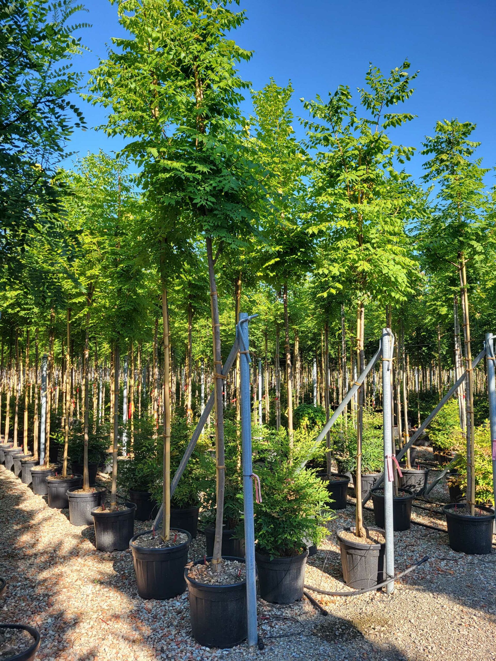 1692689304 scaled a638af10