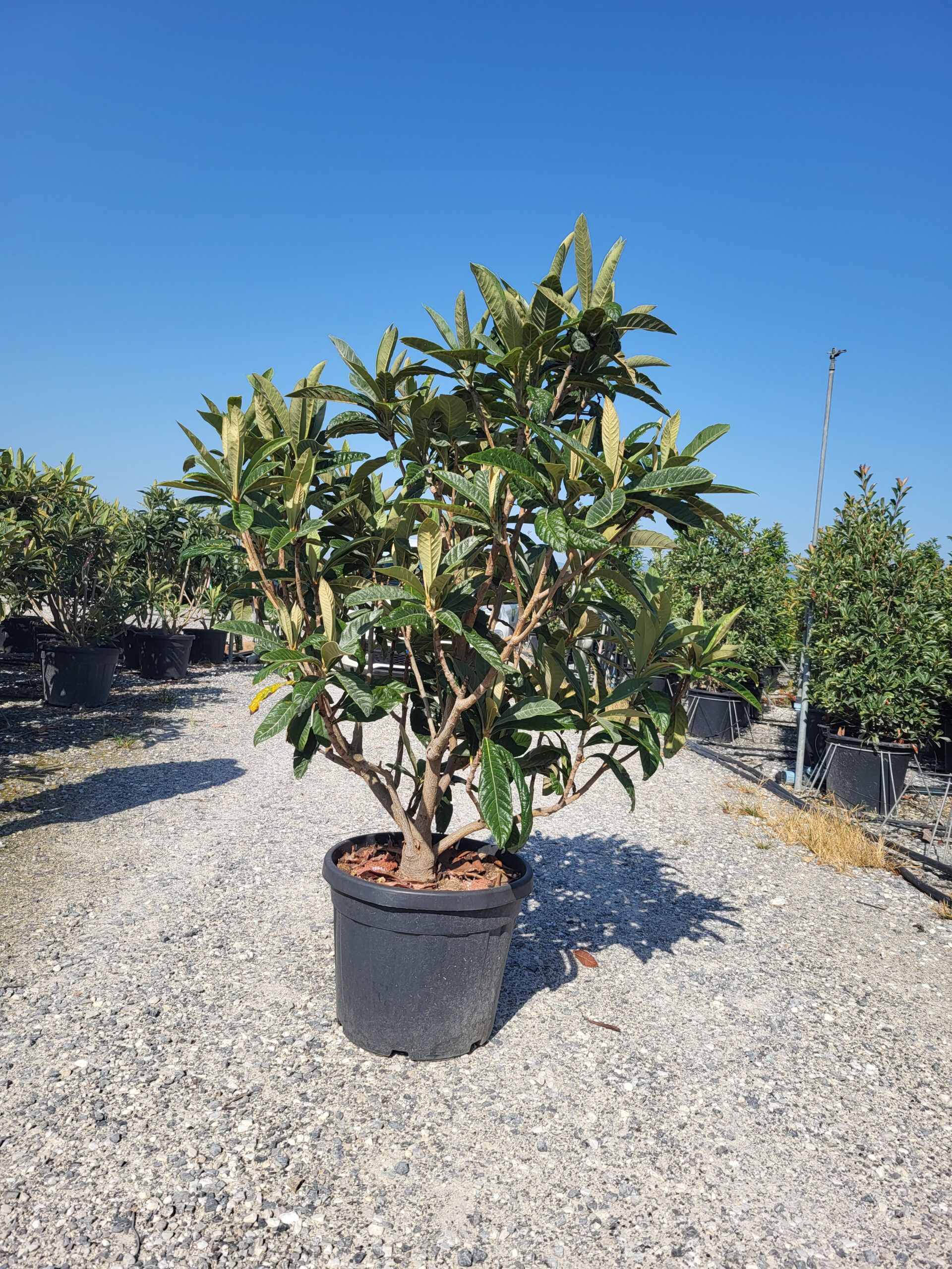 1692956413 scaled a6d2e516