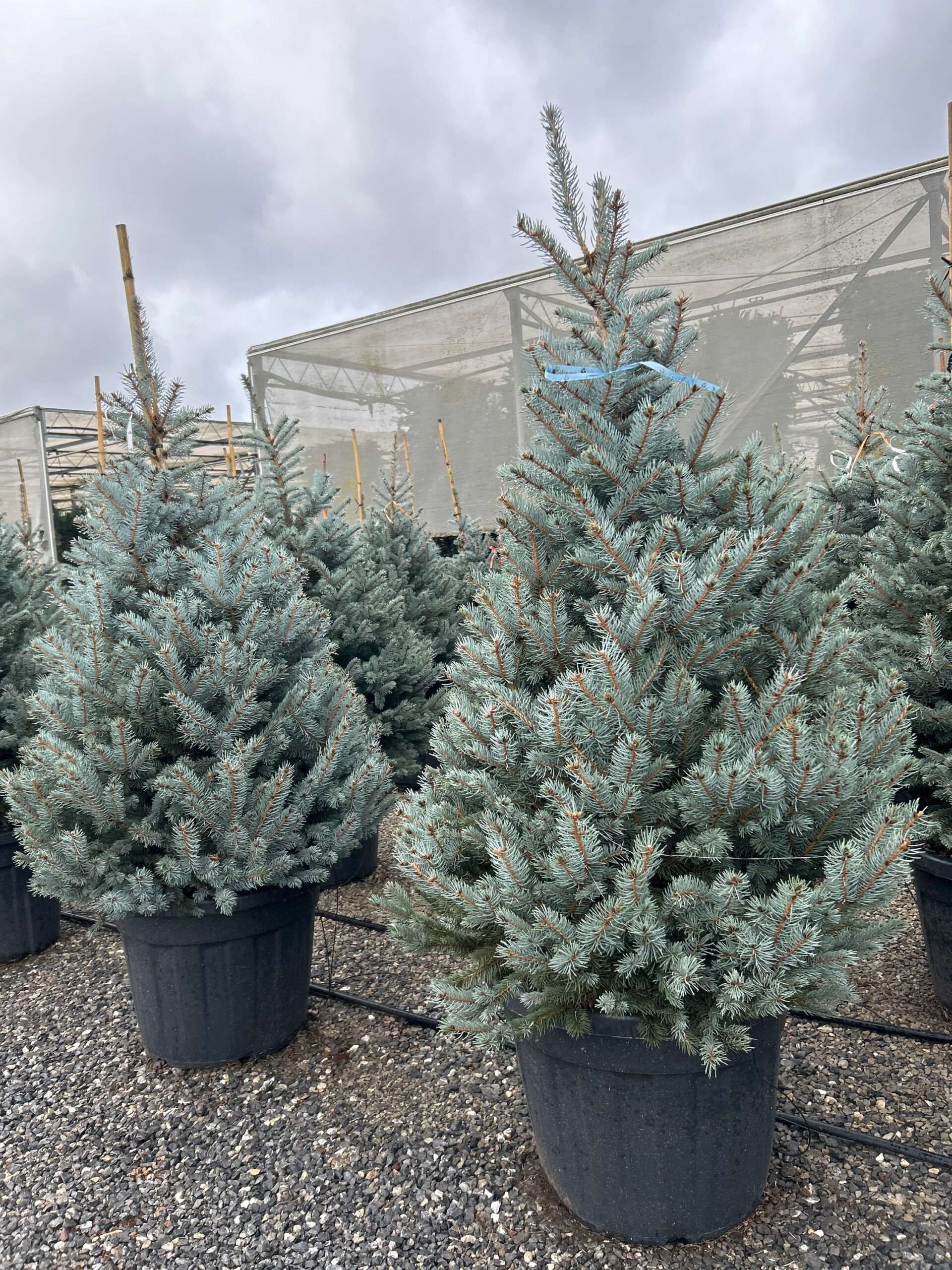 1698159315 scaled a63a496f