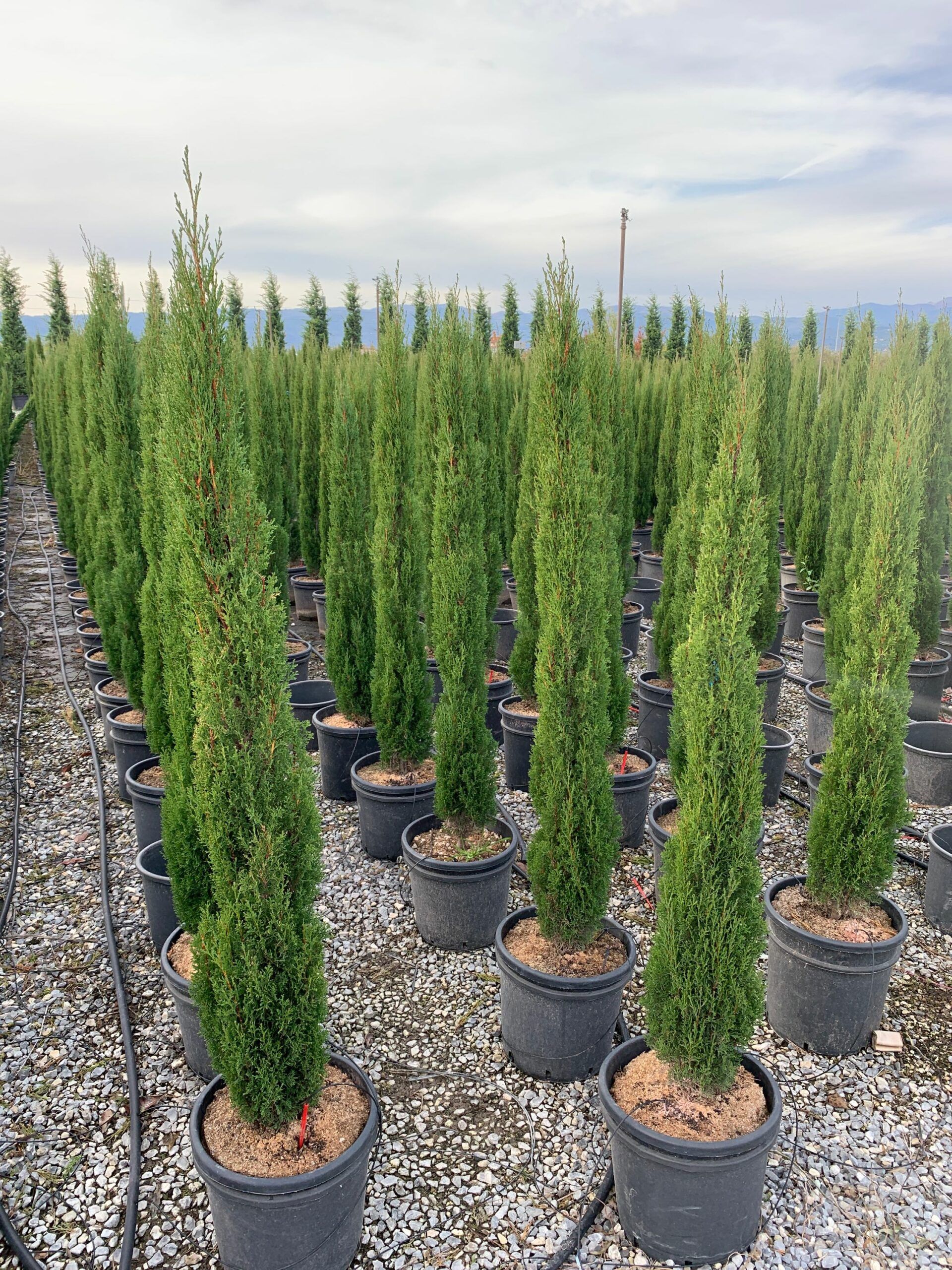 1635171646 scaled a7bb3b3f