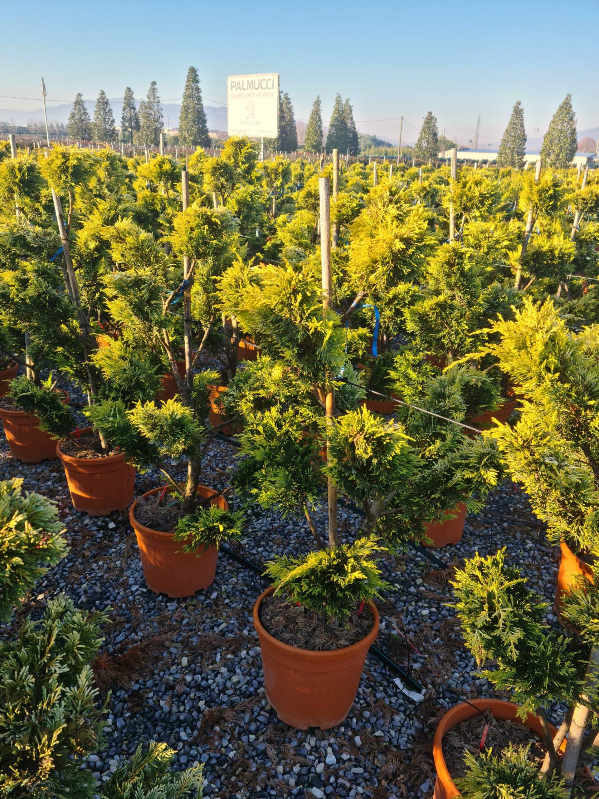 1639815764 scaled a77238bb