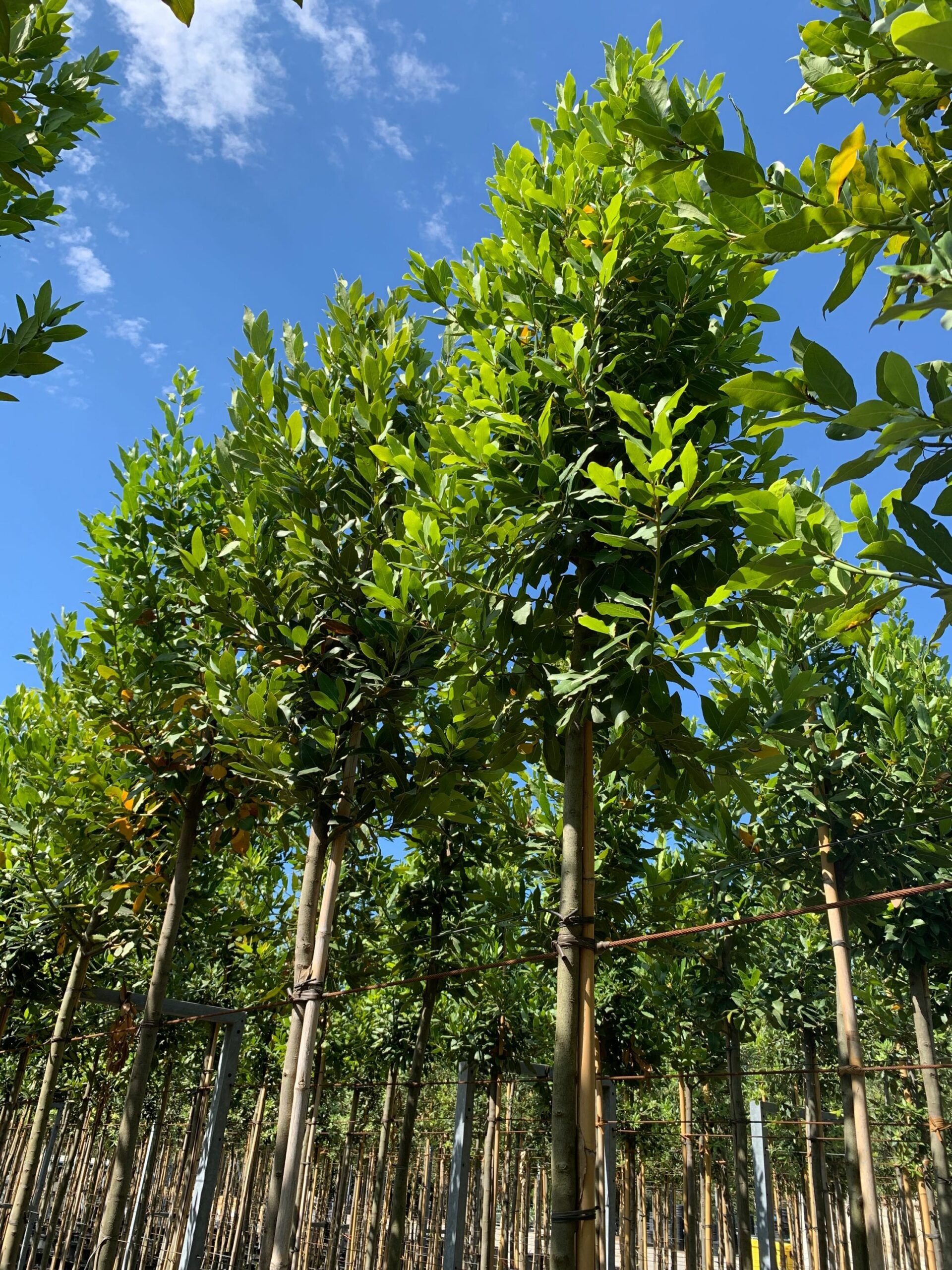 1657528944 scaled a7a946d3