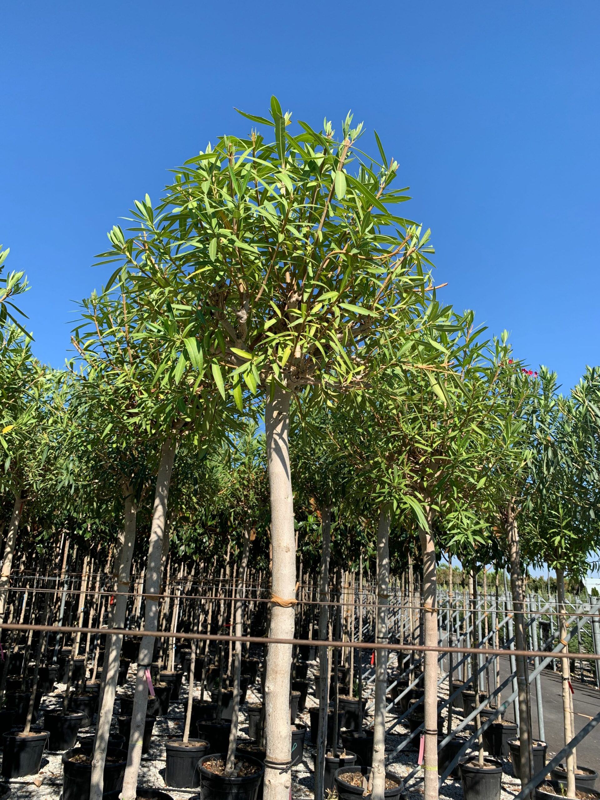 1657897557 scaled a72077d5