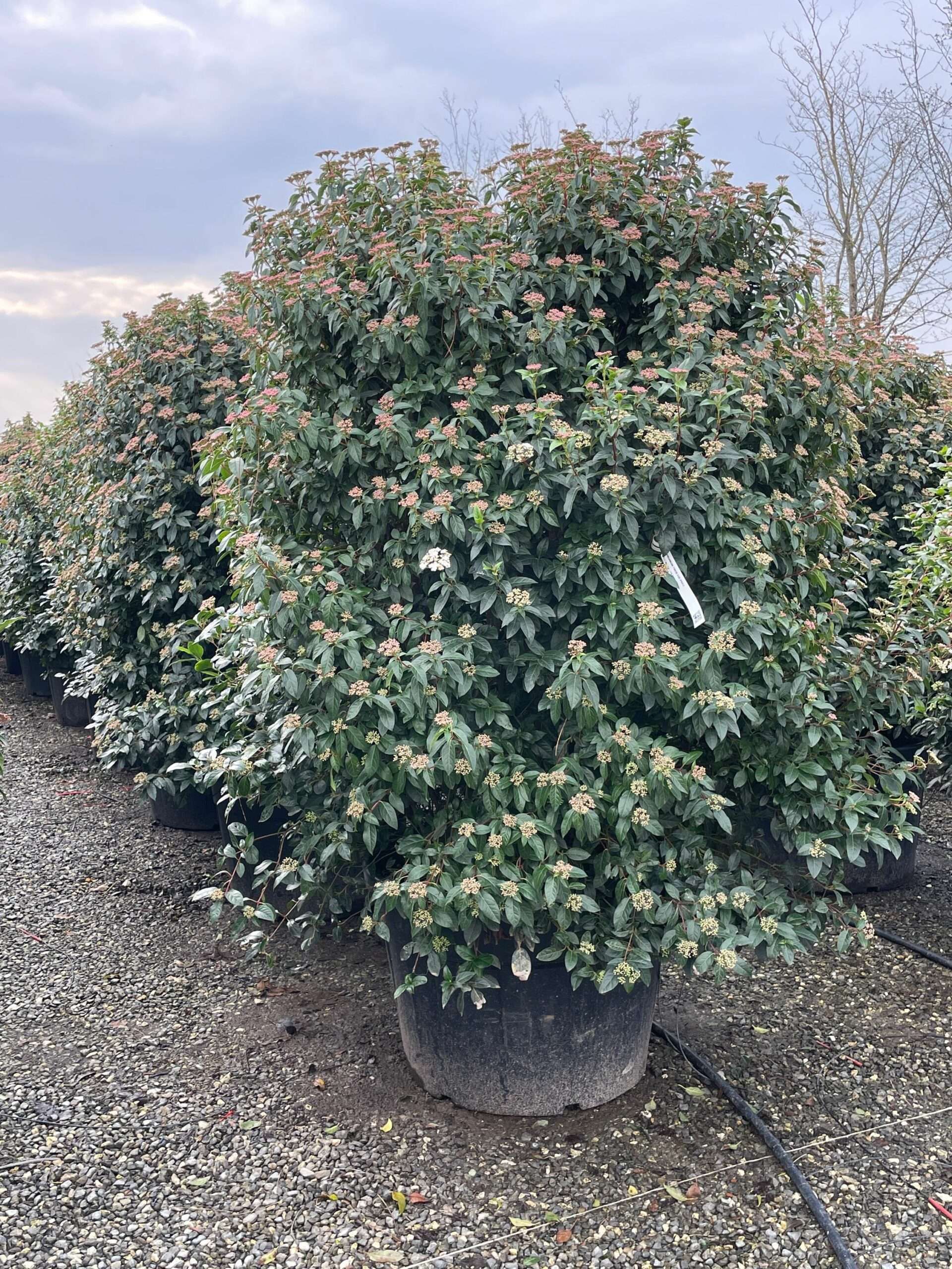 1672741166 scaled a79e4b72