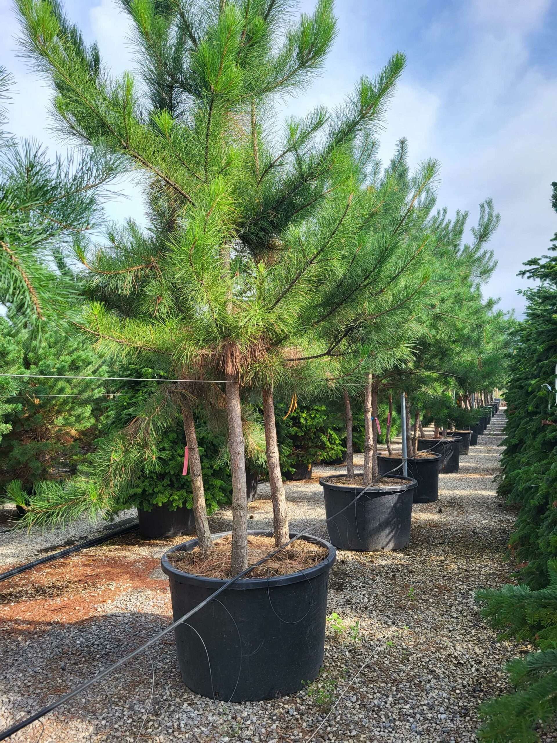 1690874654 scaled a70fb51a