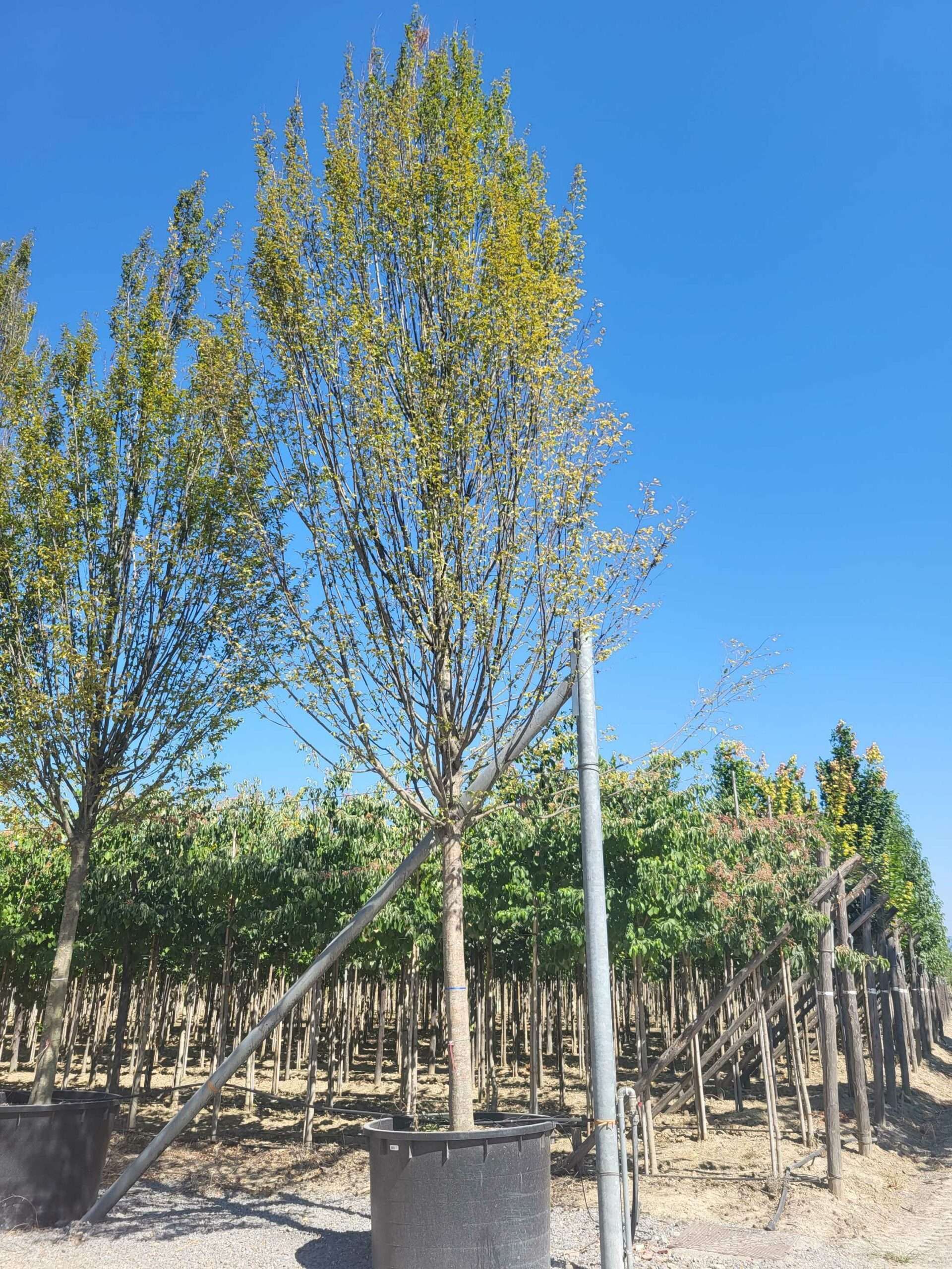 1692710721 scaled a7342748