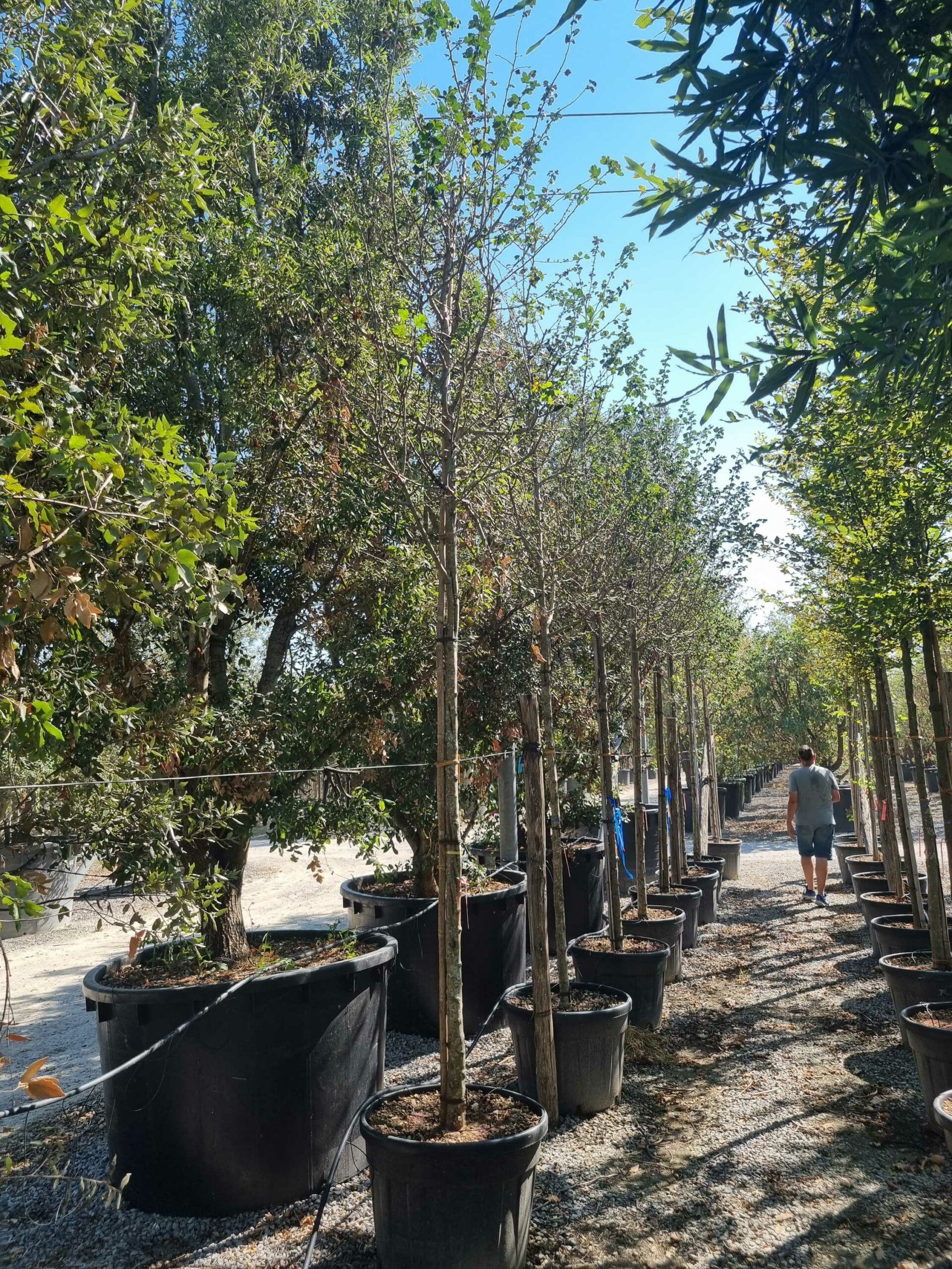 1692712378 scaled a7ac42ec