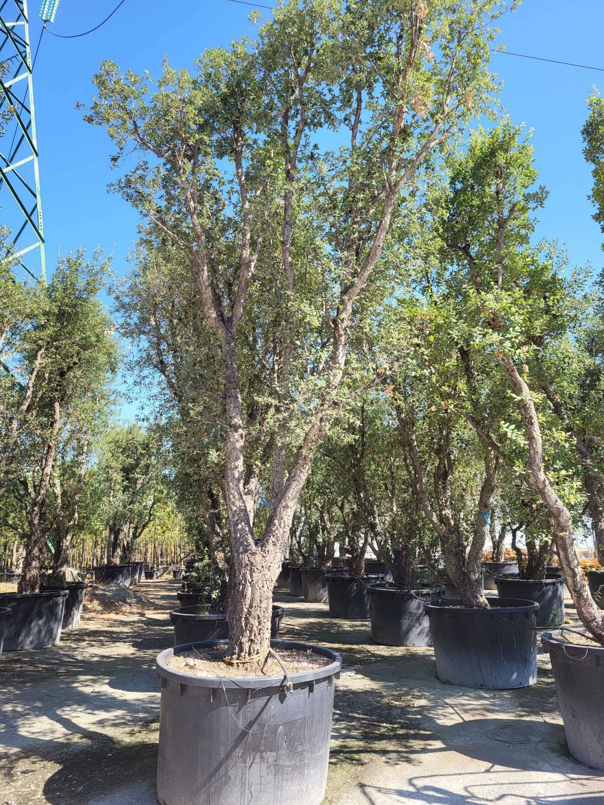 1692799123 scaled a7e33c24