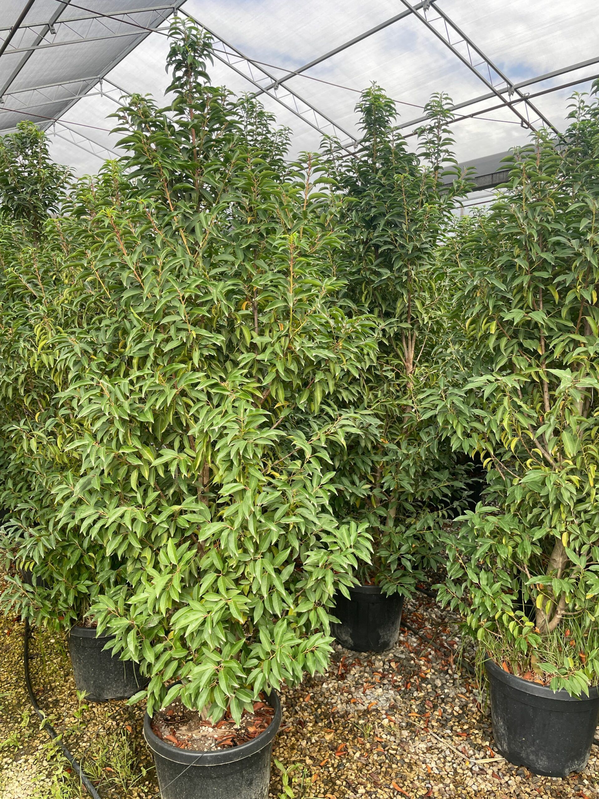 1695206207 scaled a7db590b