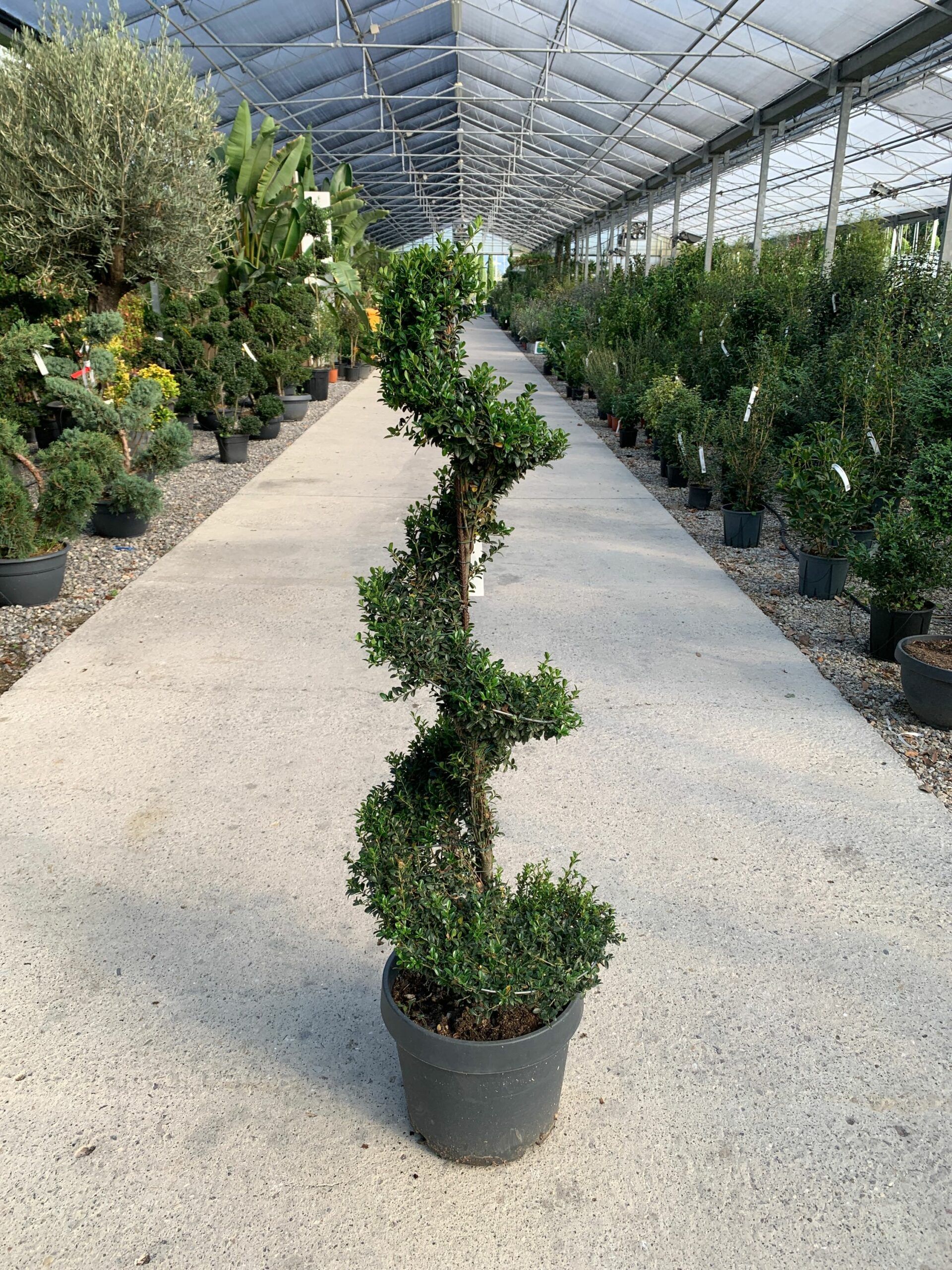 1634977155 scaled a836bcdf