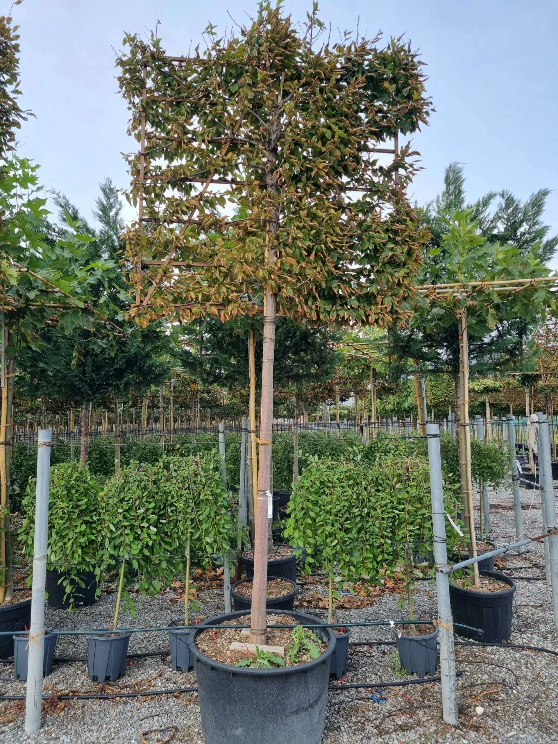 1664460115 scaled a8ed3d6a