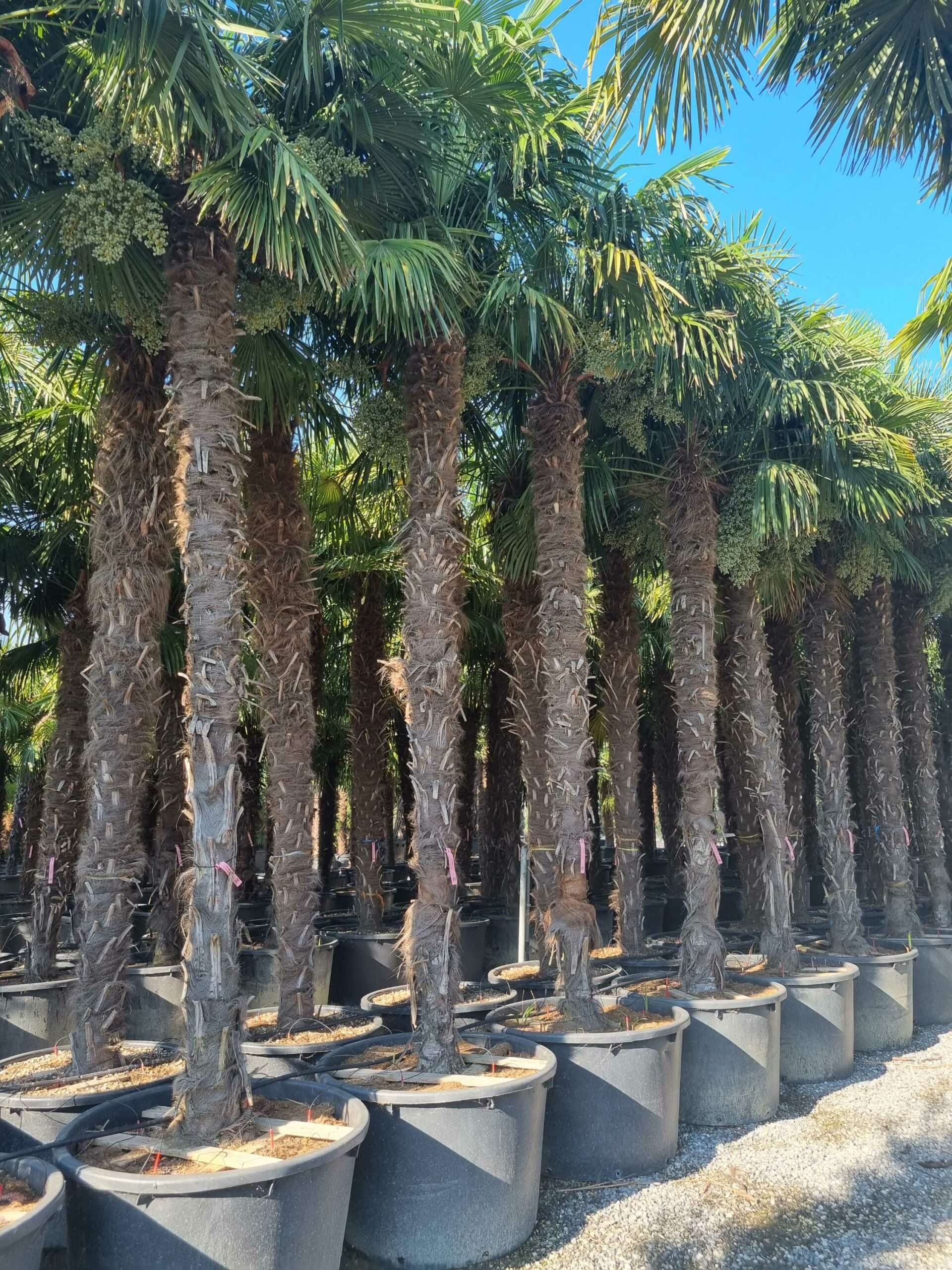 1692687754 scaled a8882fc2