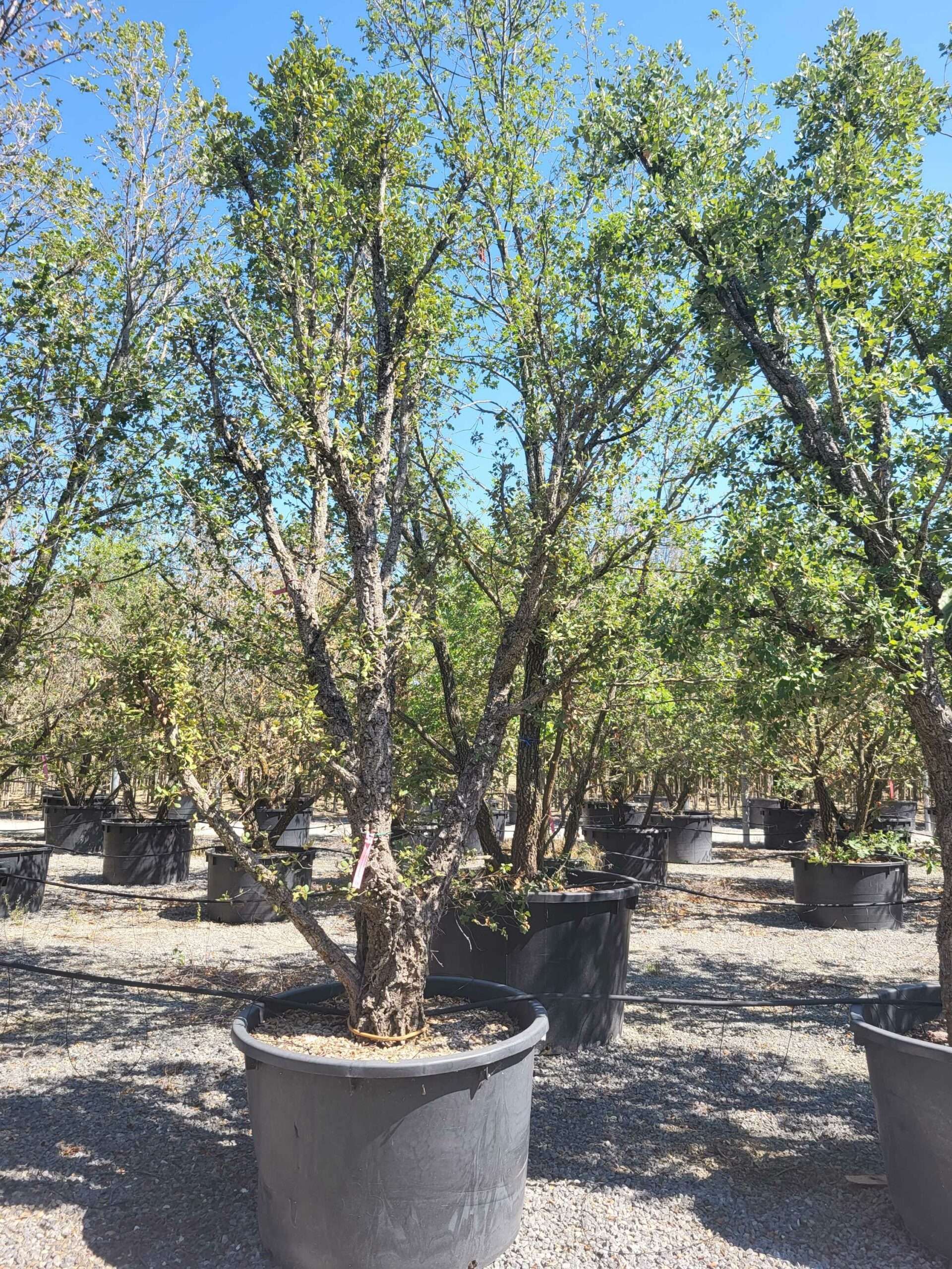 1692709417 scaled a88ed6ca