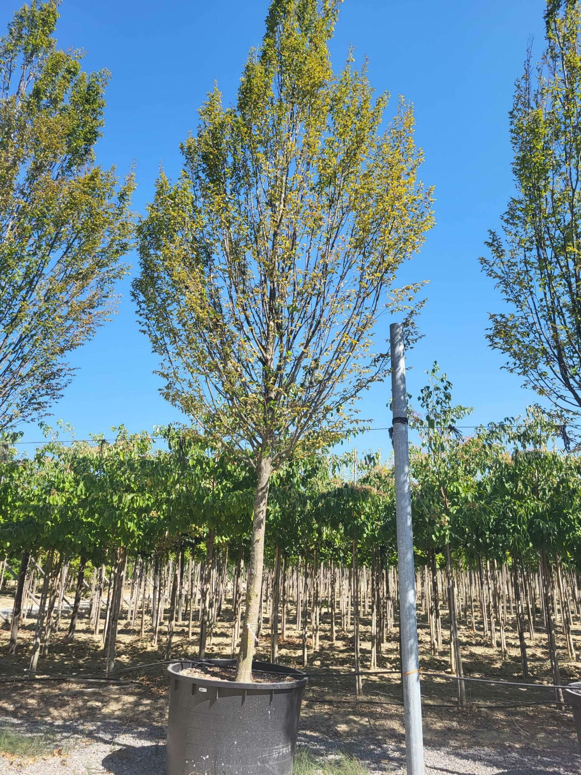 1692711106 scaled a8f2d948