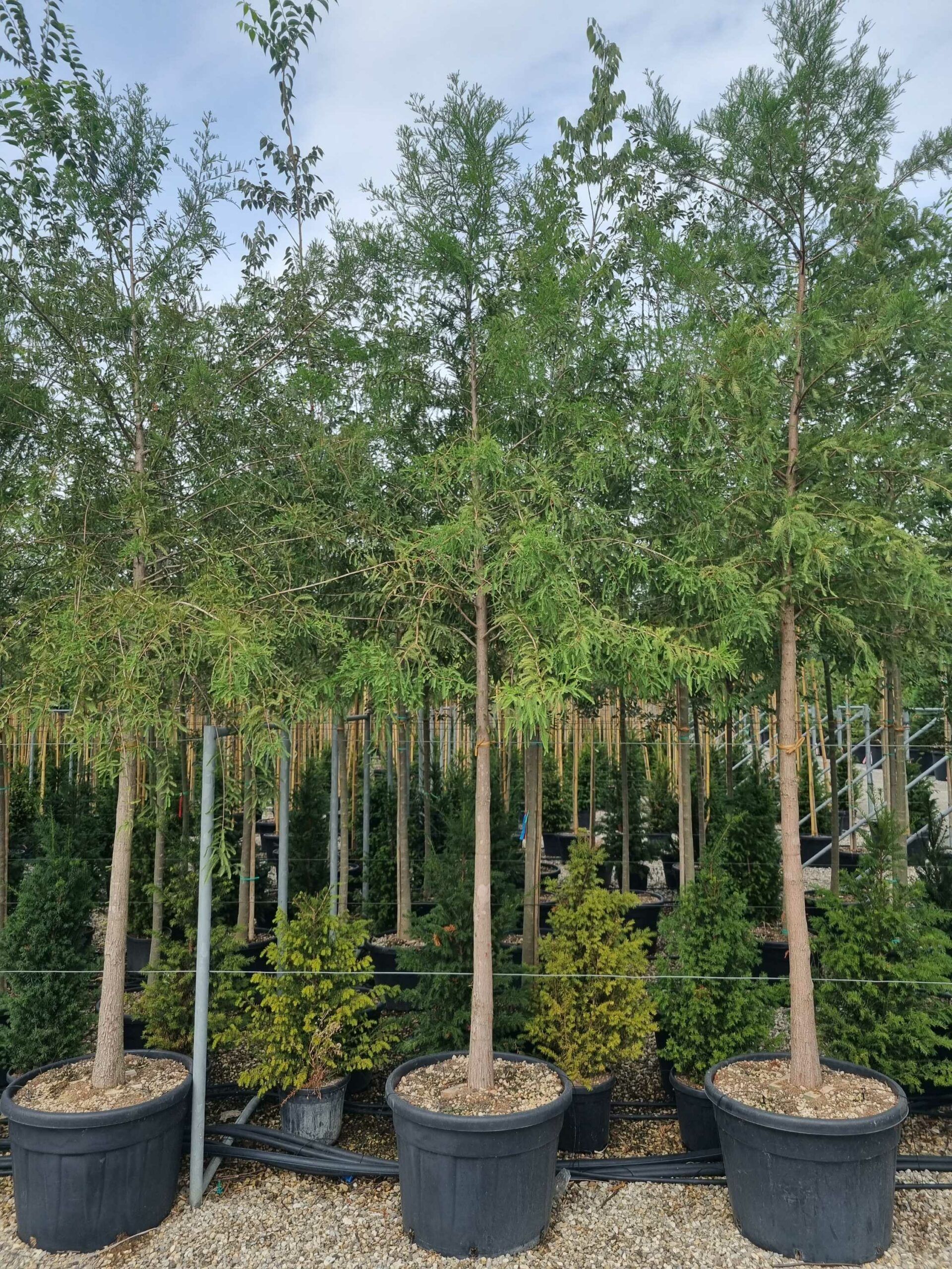 1695041182 scaled a8a453b4