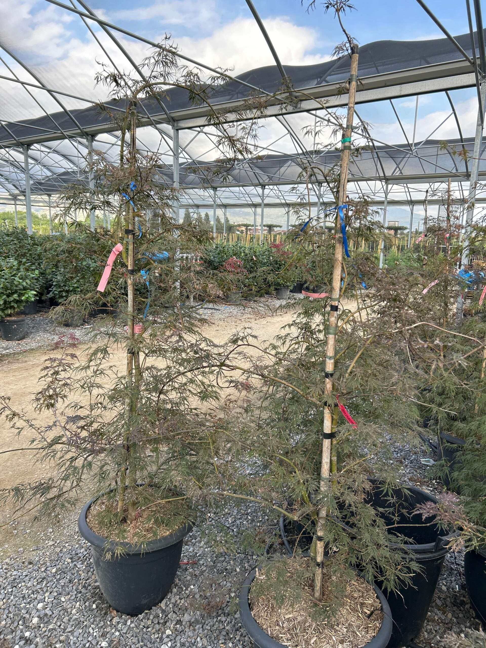 1697287829 scaled a8b3f1b5