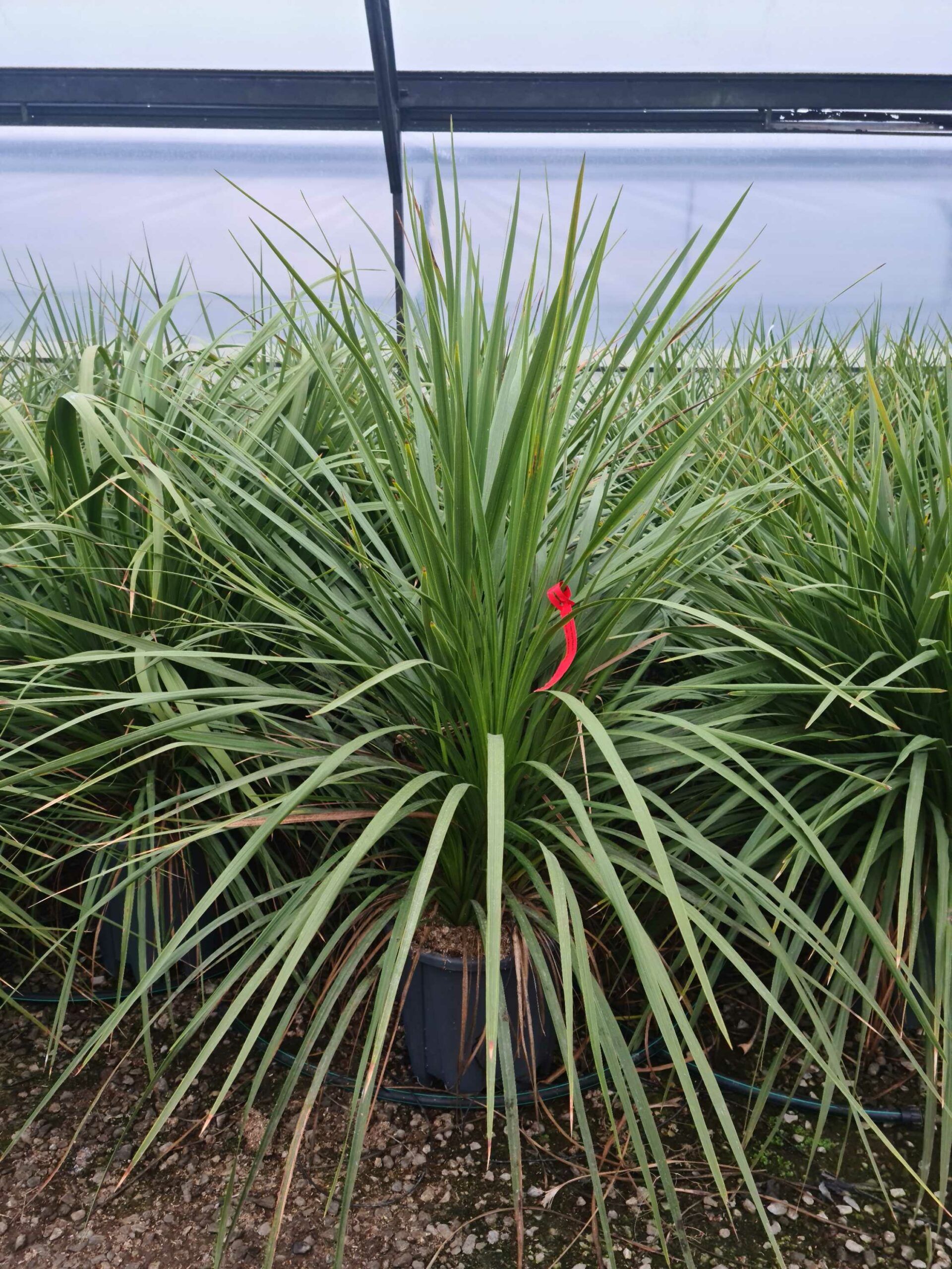 1640246423 scaled a97b5f65