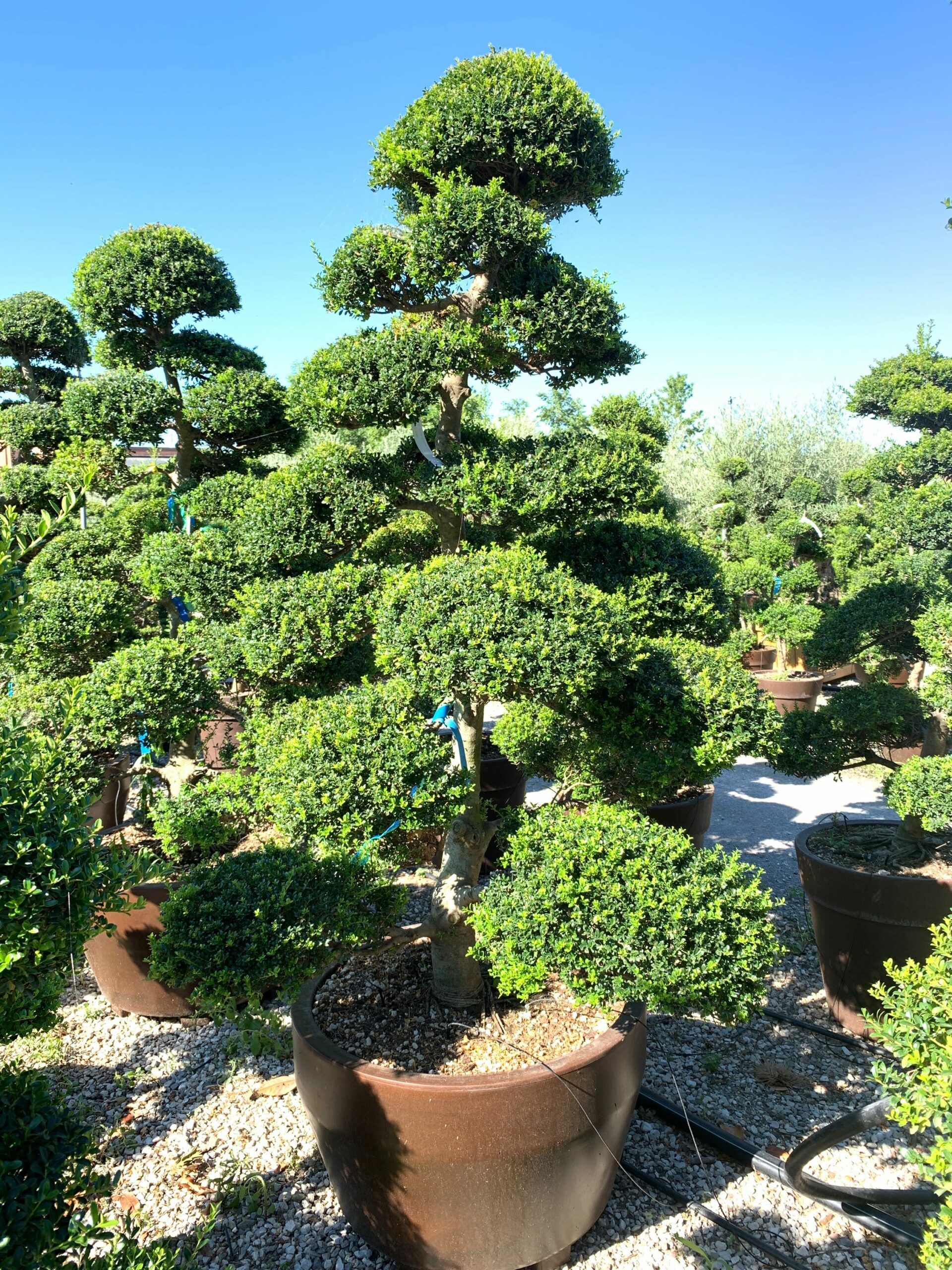 1659599030 scaled a99a184d