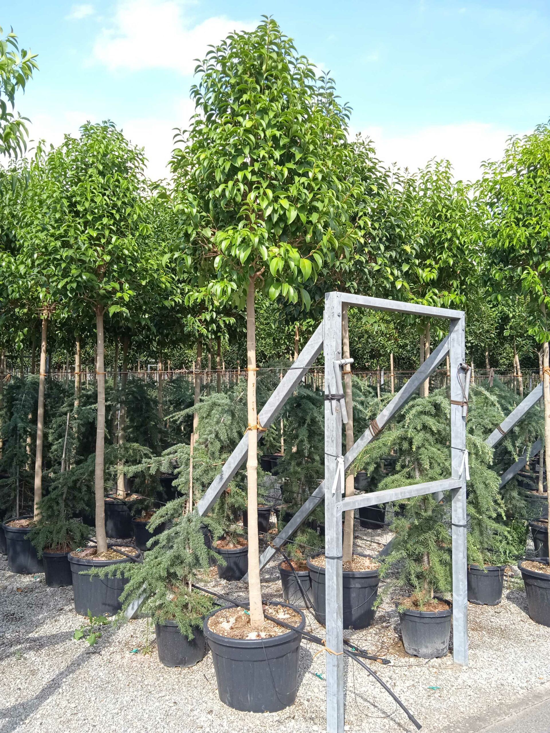 1662126016 scaled a927fd34