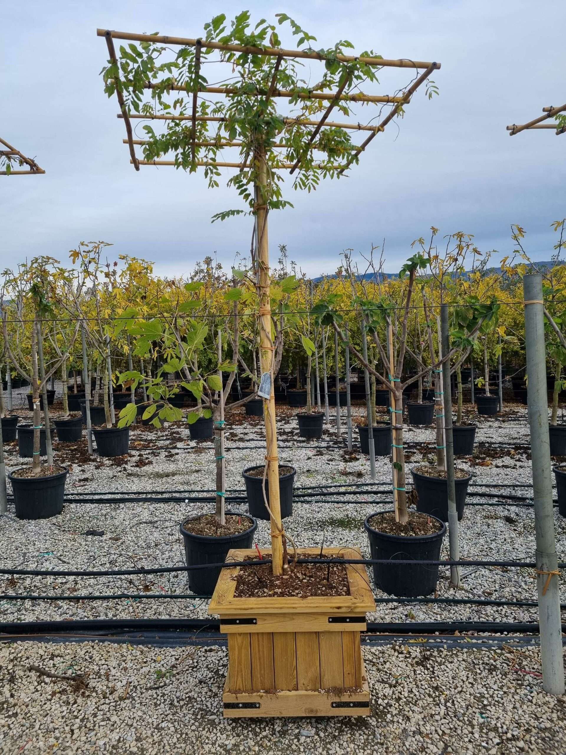 1668236664 scaled a9c9da65