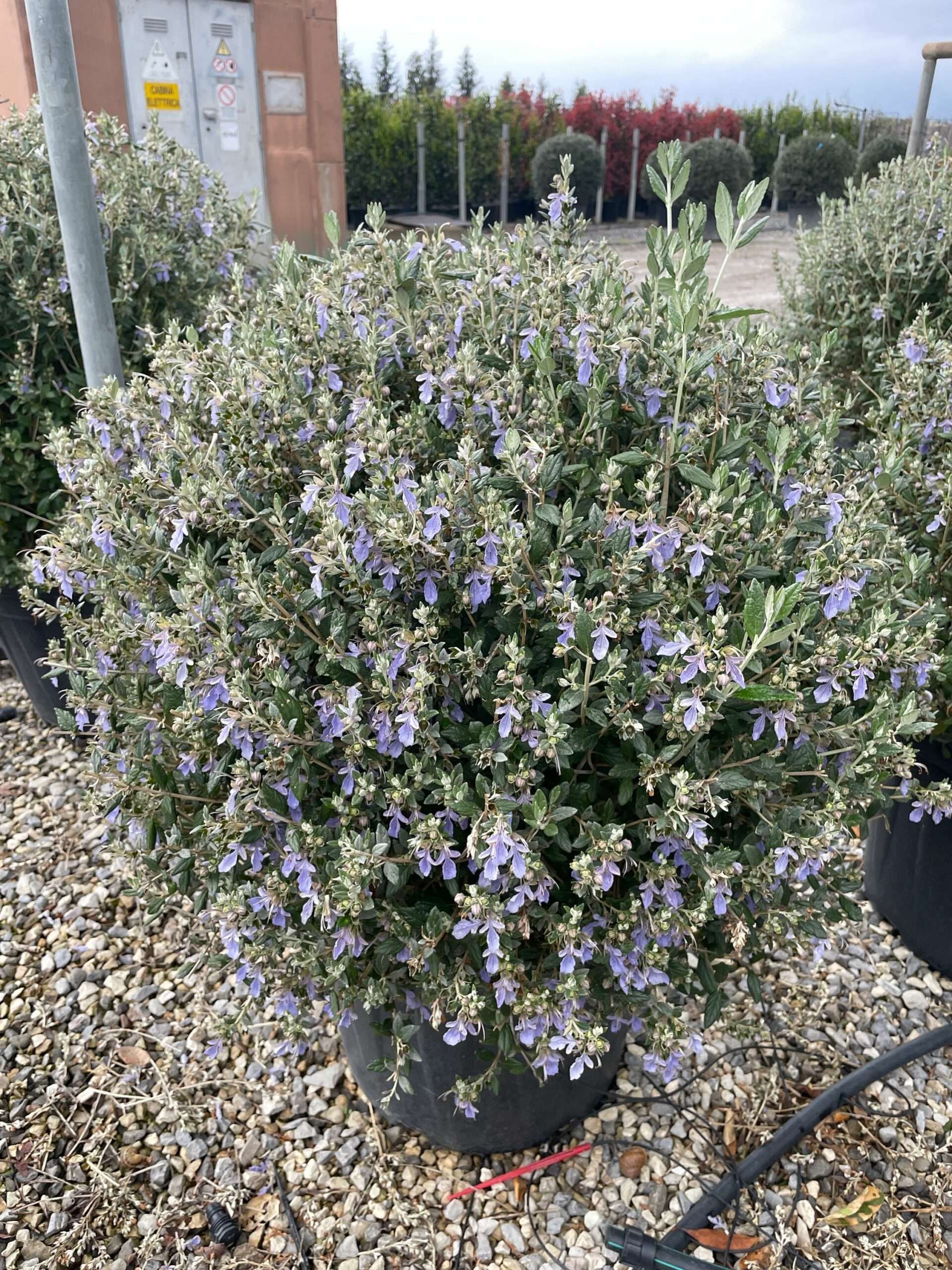 1680279980 scaled a99b4335