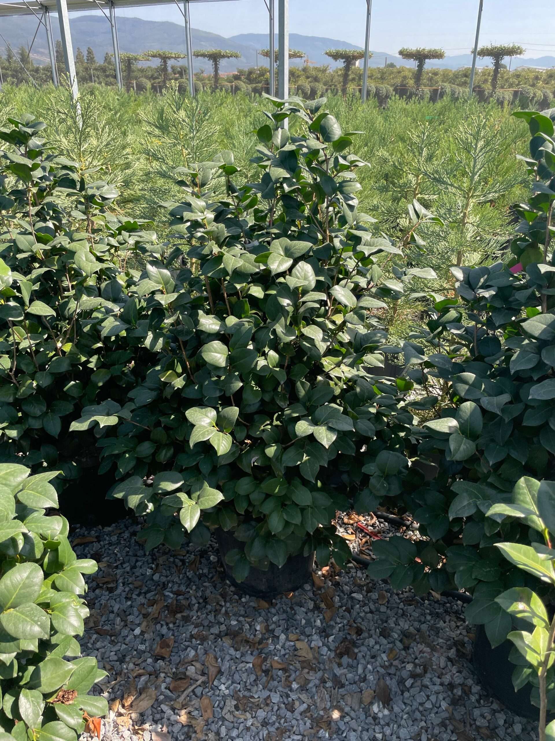 1692870909 scaled a9d2cea7