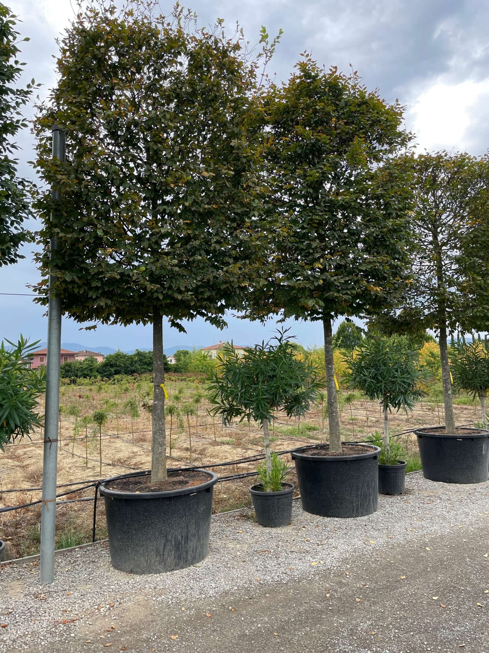 1630752663 scaled aa0d43f9