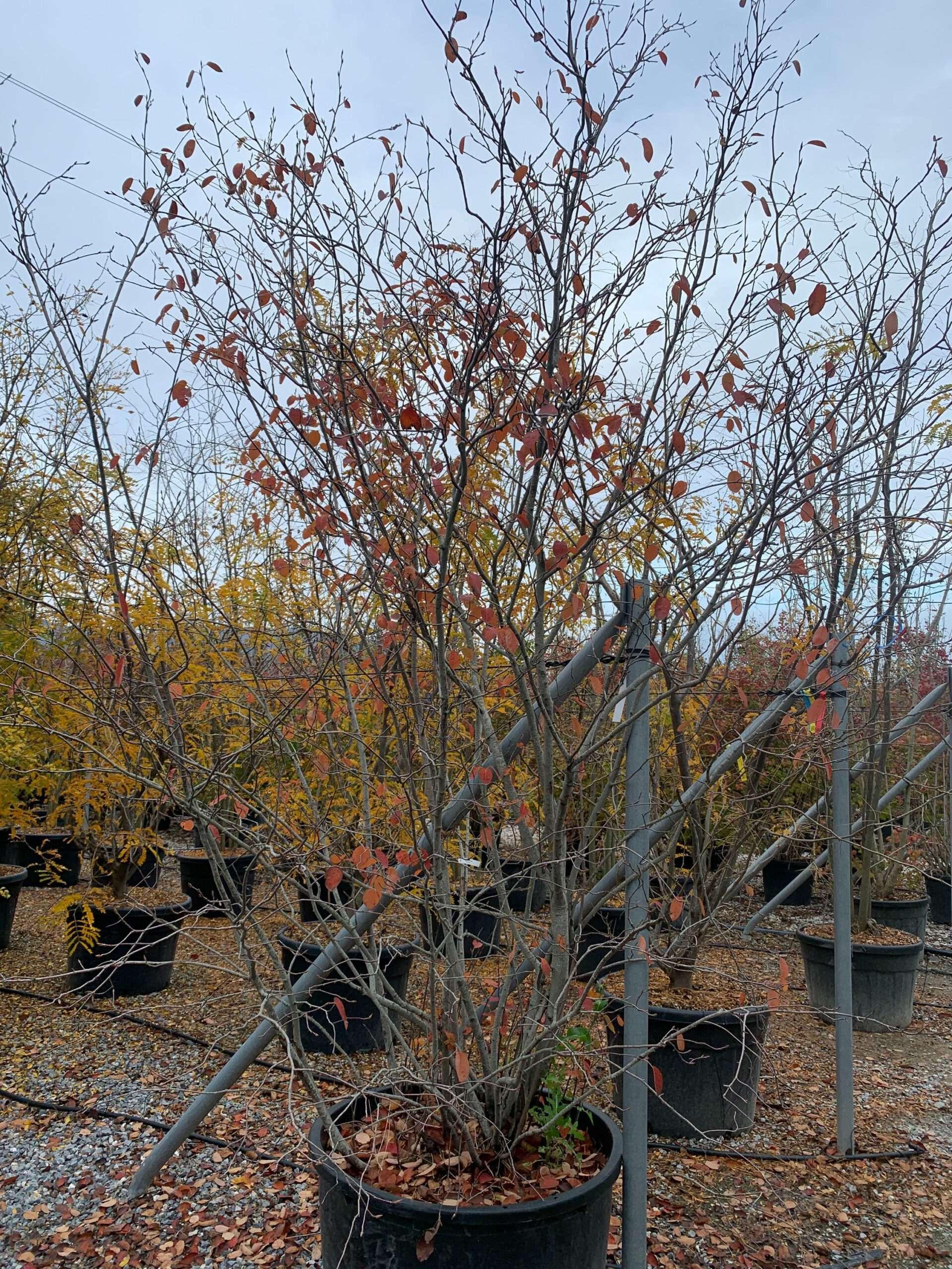 1636122702 scaled aa5ea544