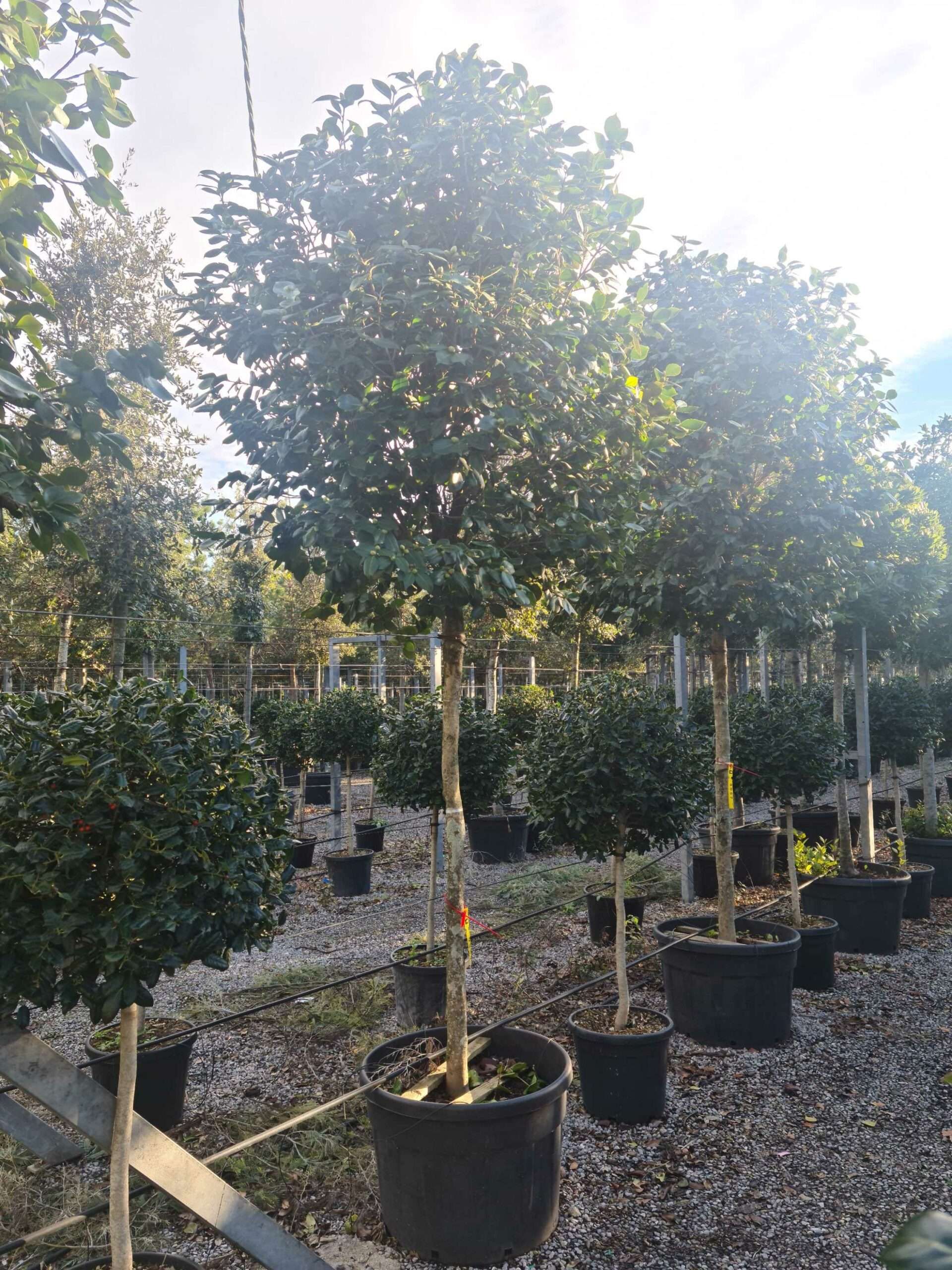 1639403724 scaled aa14c58b