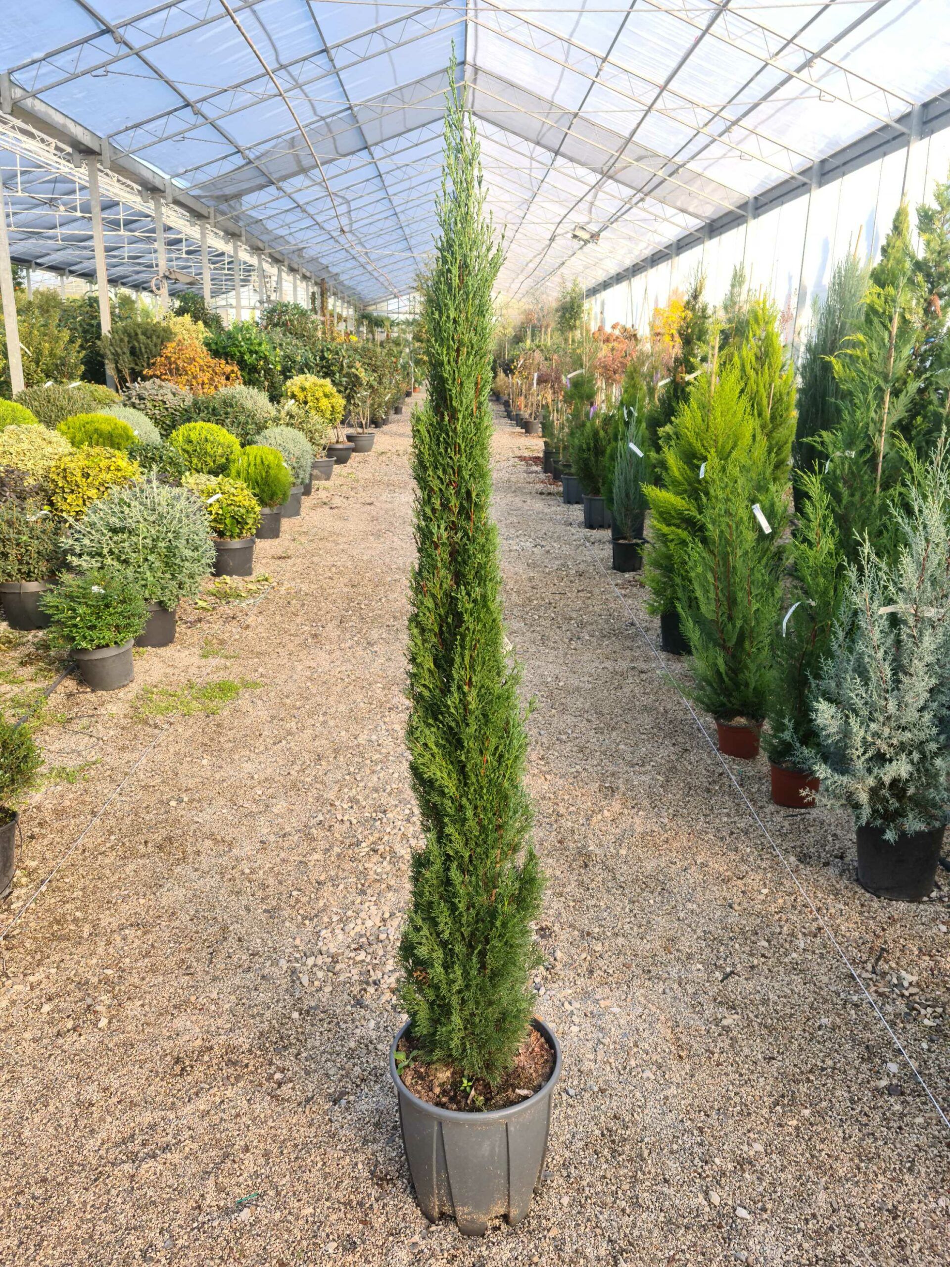 1639473753 scaled aa423912