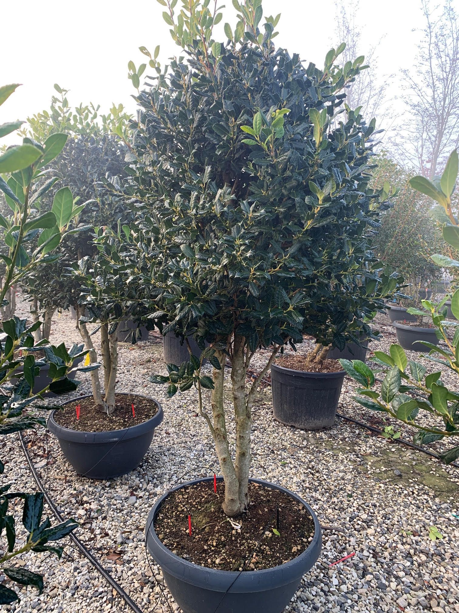 1647109815 unnamed 1 aa235d0f