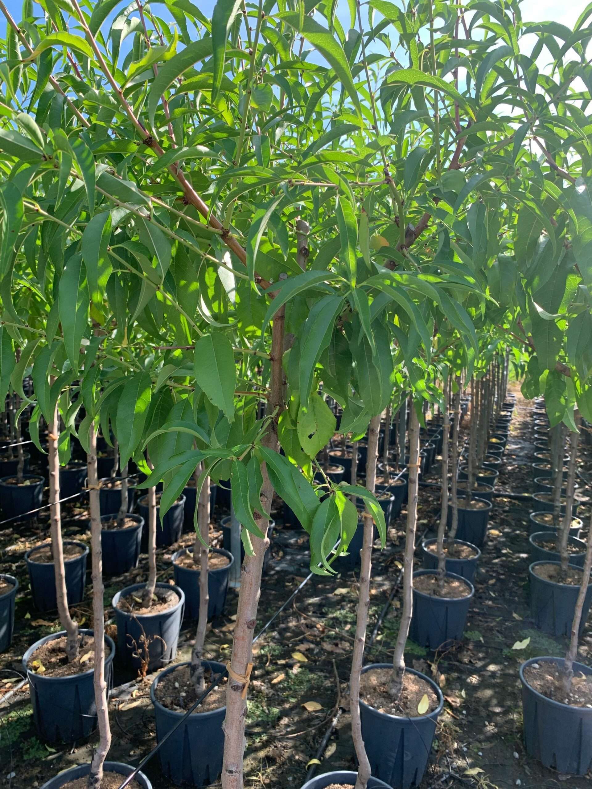 1662366266 scaled aa503a18