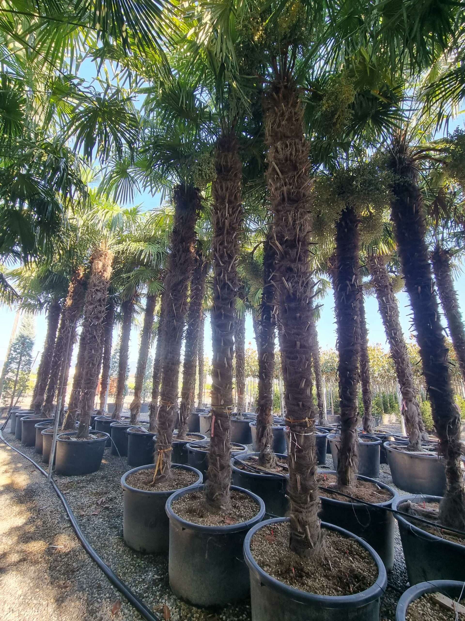 1692687553 scaled aa868334