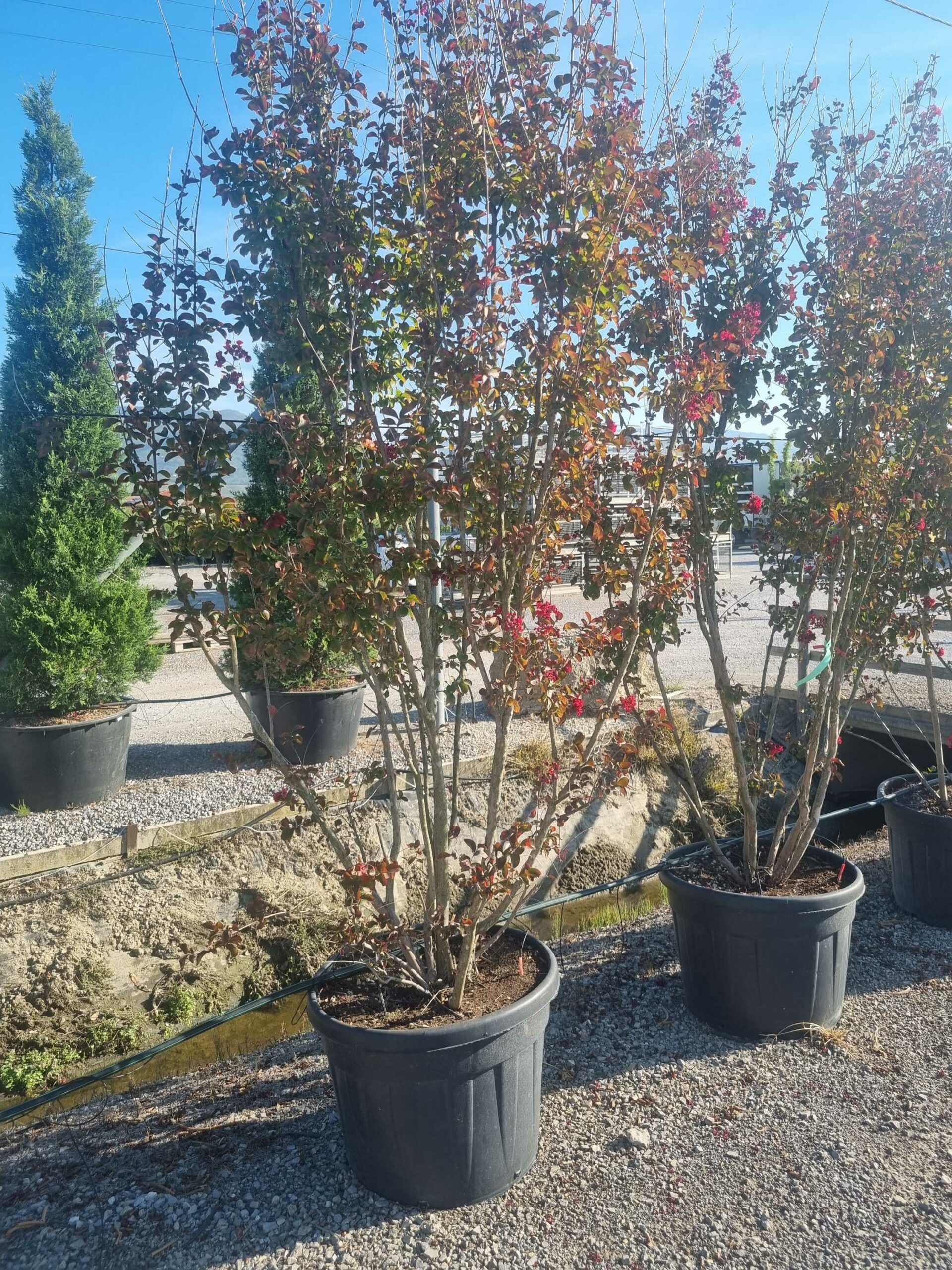 1695800143 scaled aa33b7a5