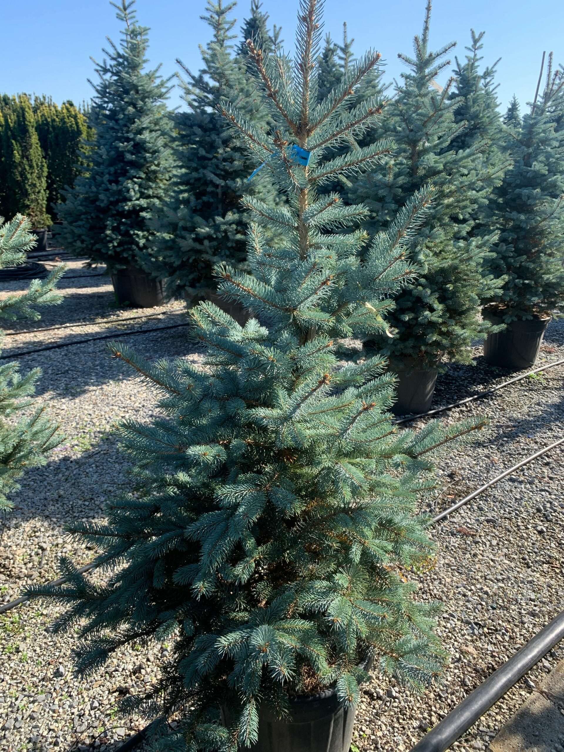 1635336938 scaled abce11c3