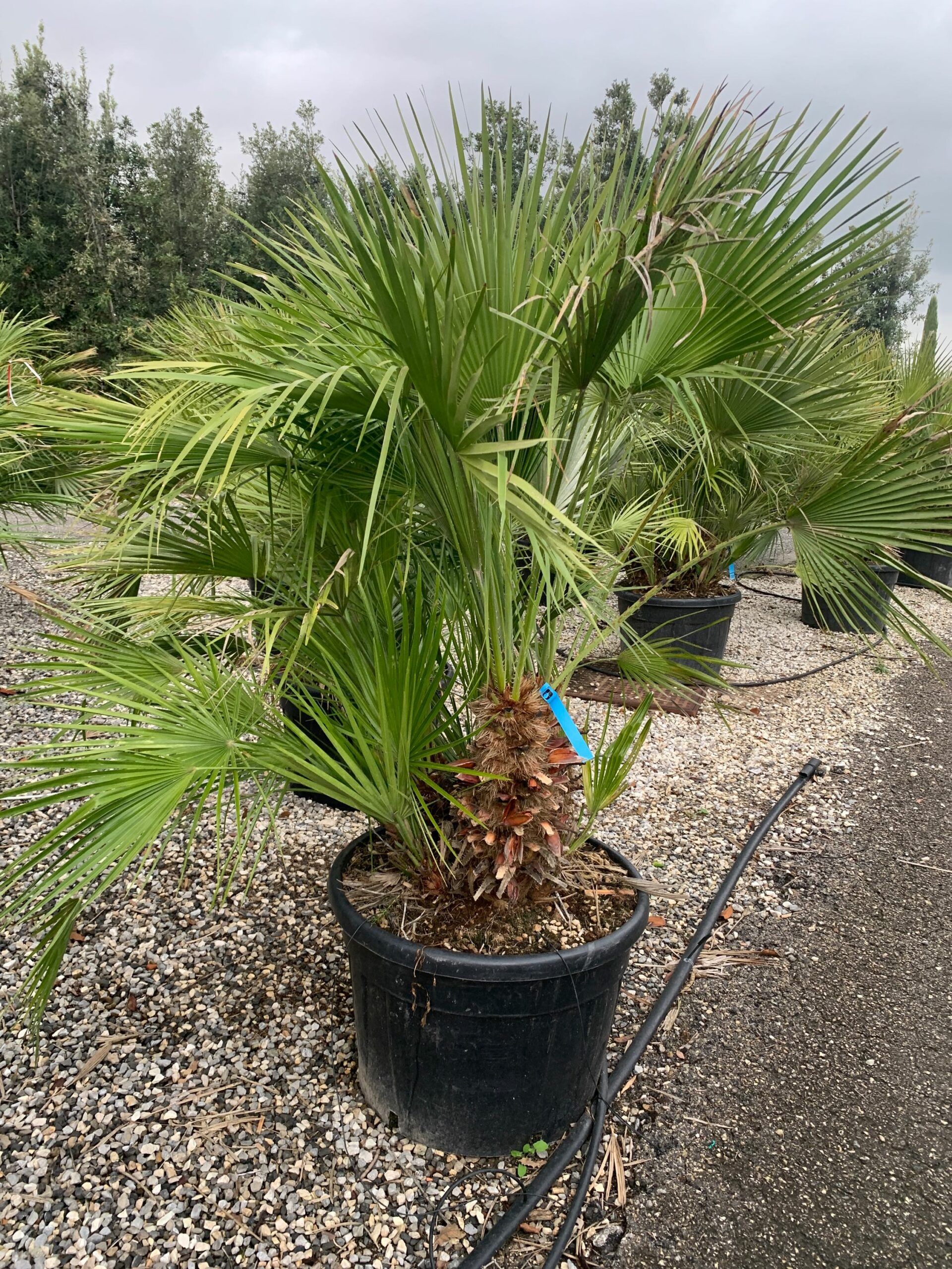 1635947625 scaled ab30a460