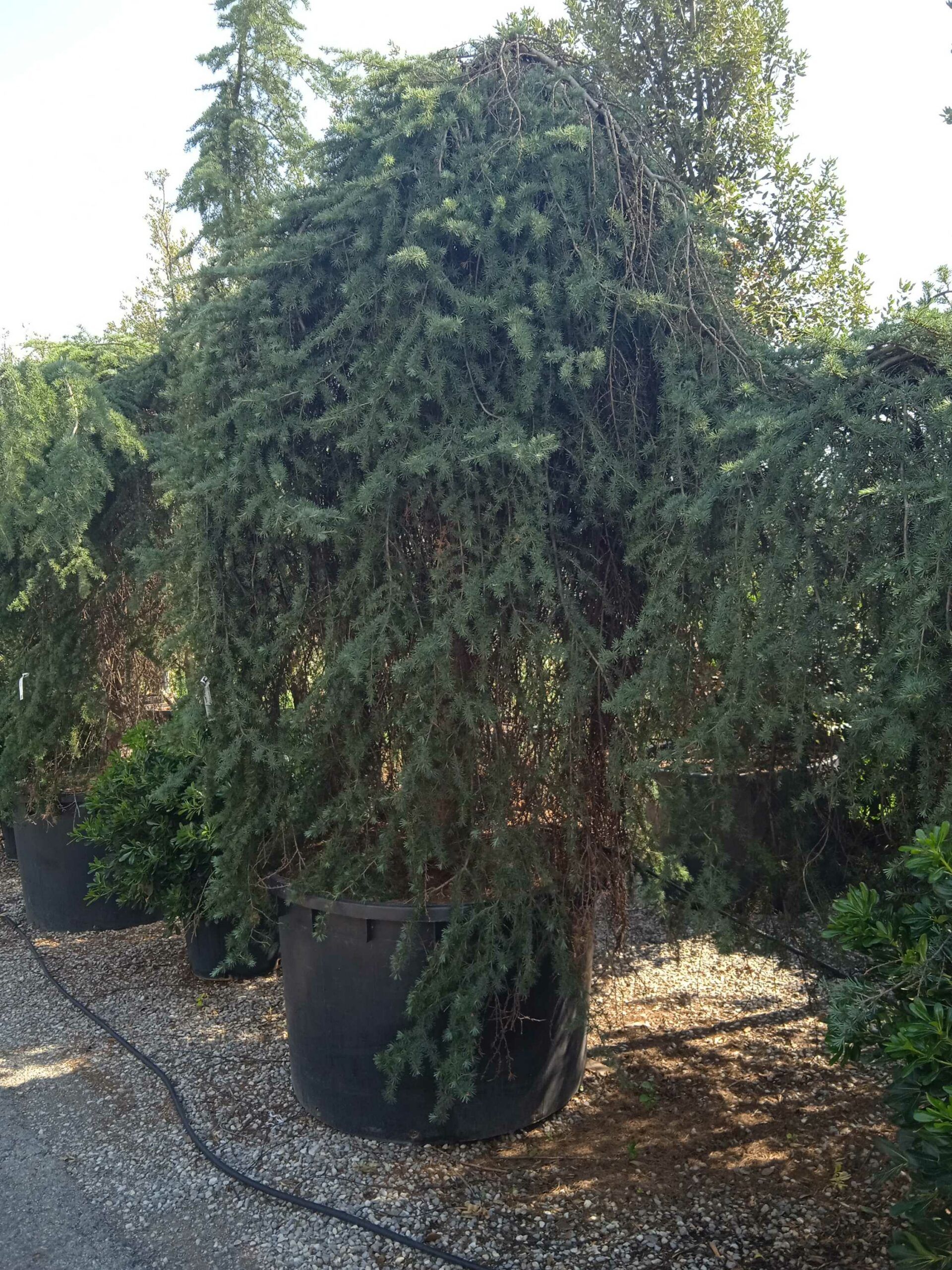 1661866394 scaled abe442de