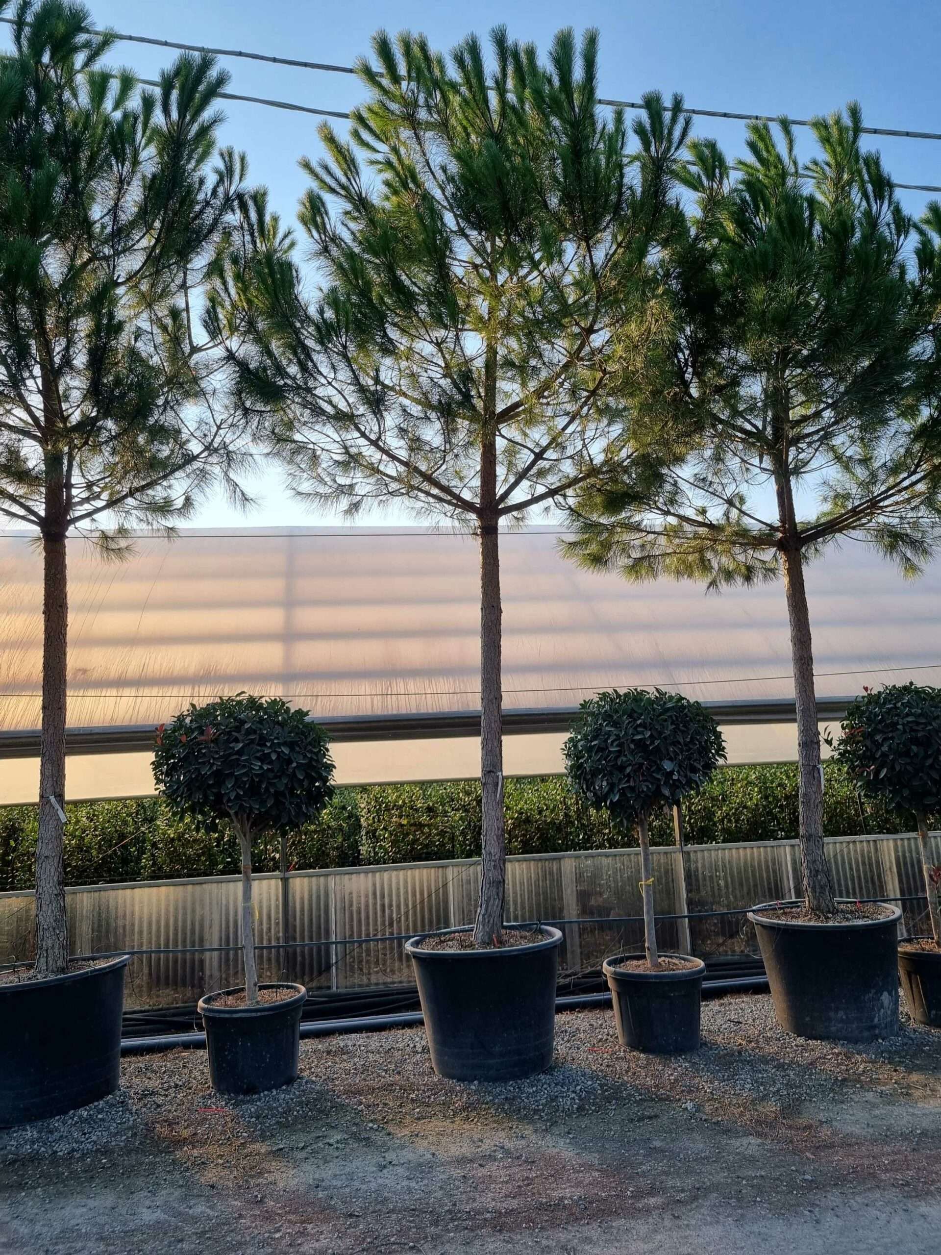 1665155762 scaled ab613e1d